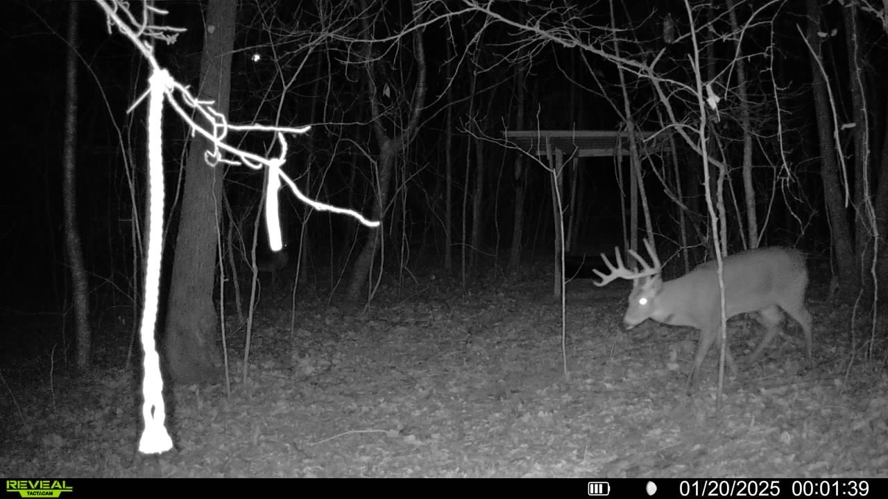 4453 Marsh Mountain Cutoff Property Photo 60