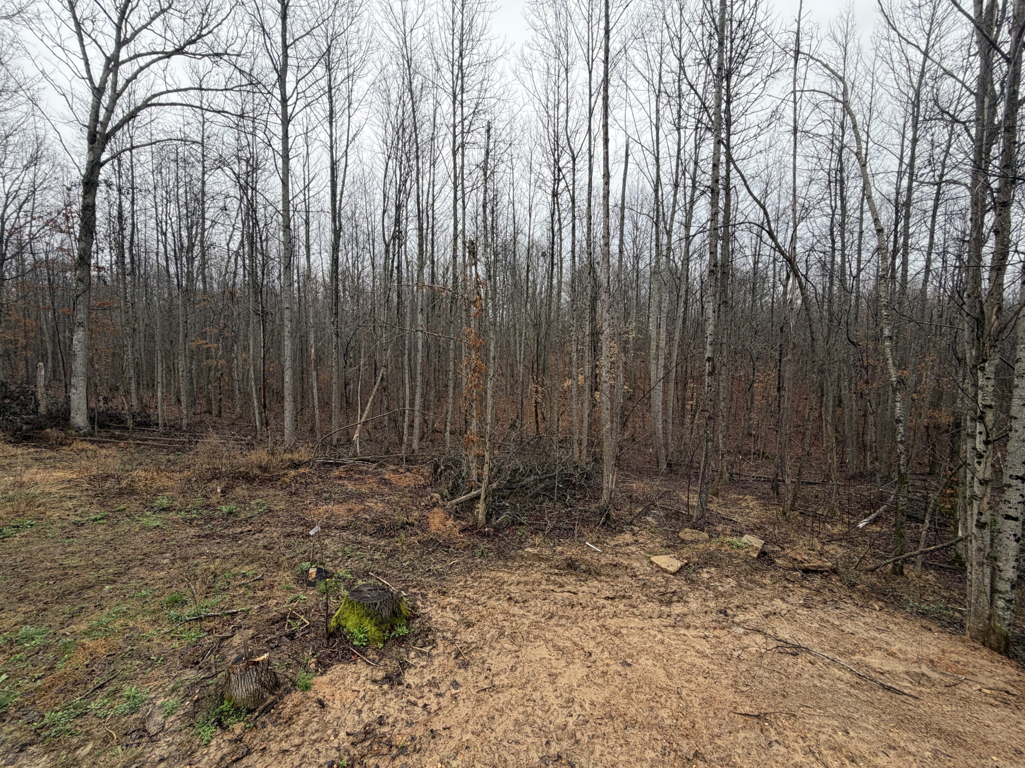 2889 Highway 230, W Property Photo 54