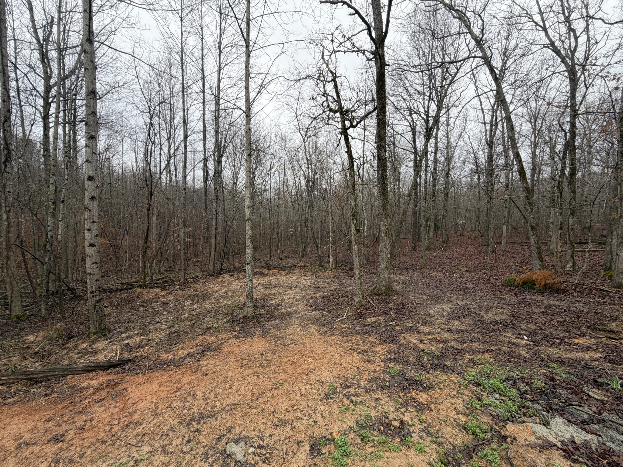 2889 Highway 230, W Property Photo 56