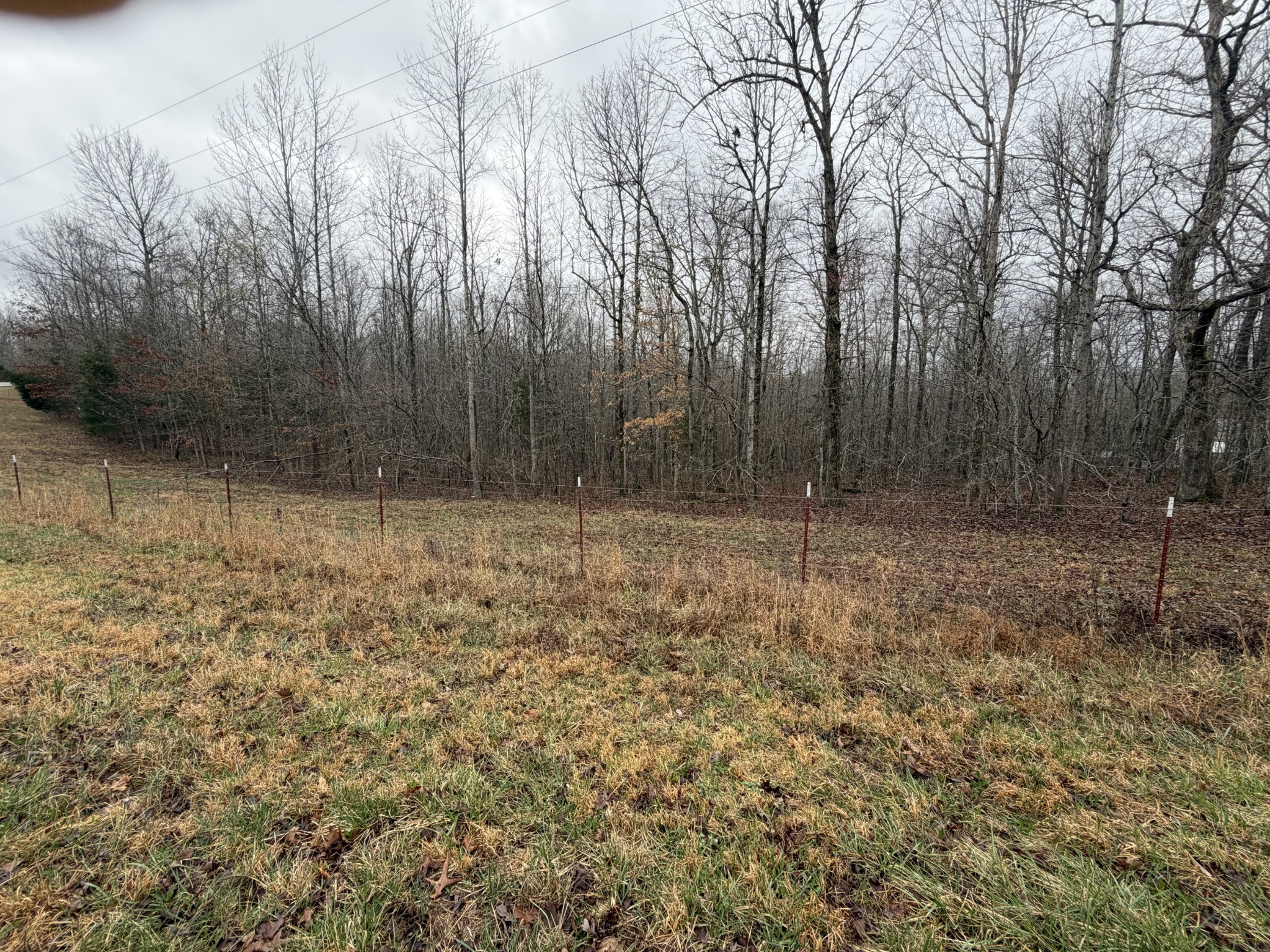 2889 Highway 230, W Property Photo 58