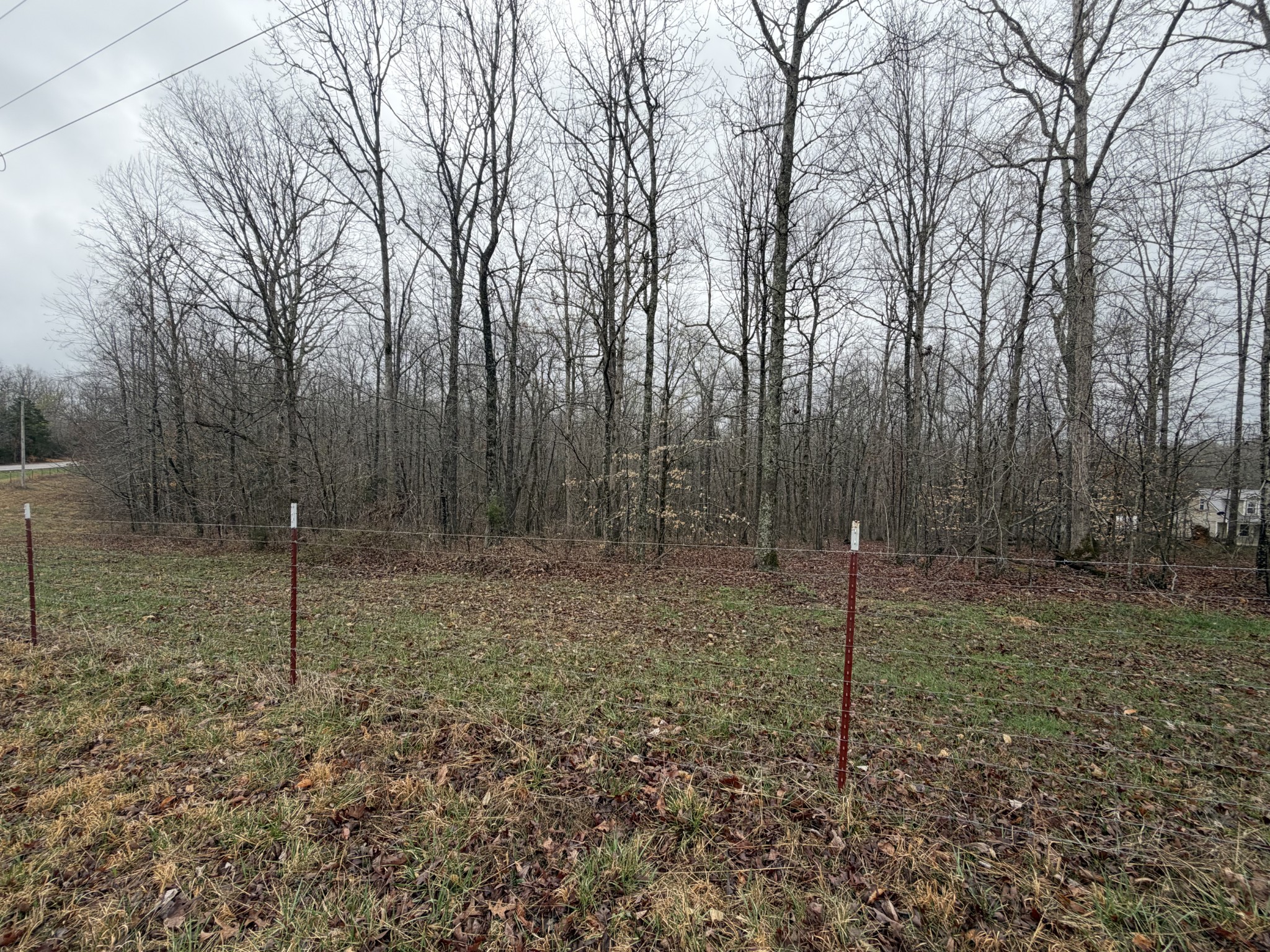 2889 Highway 230, W Property Photo 59