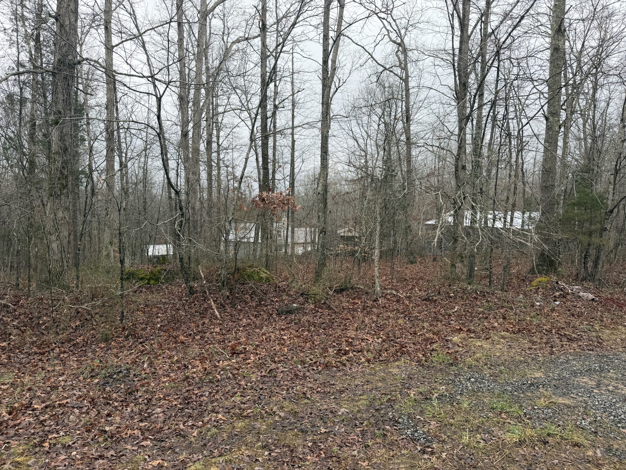 2889 Highway 230, W Property Photo 62
