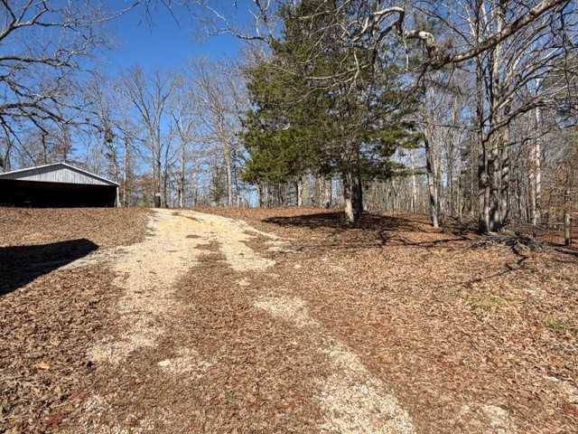 9554 Brooksie Thompson Rd Property Photo 6