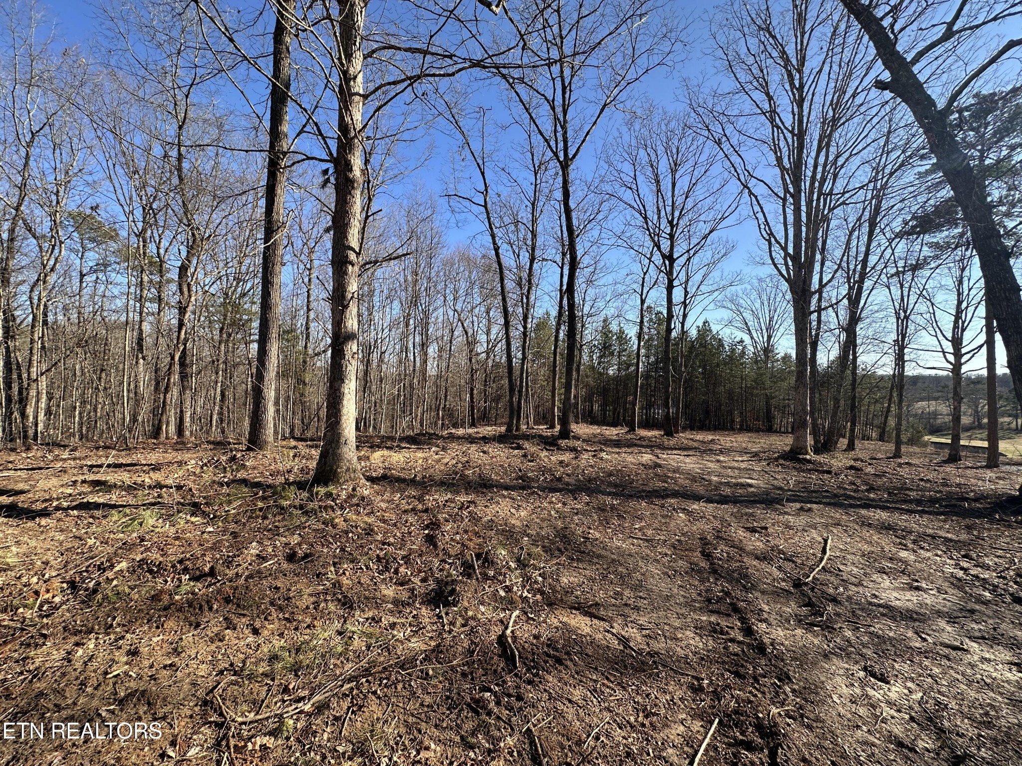 1453 Pickett Park Hwy