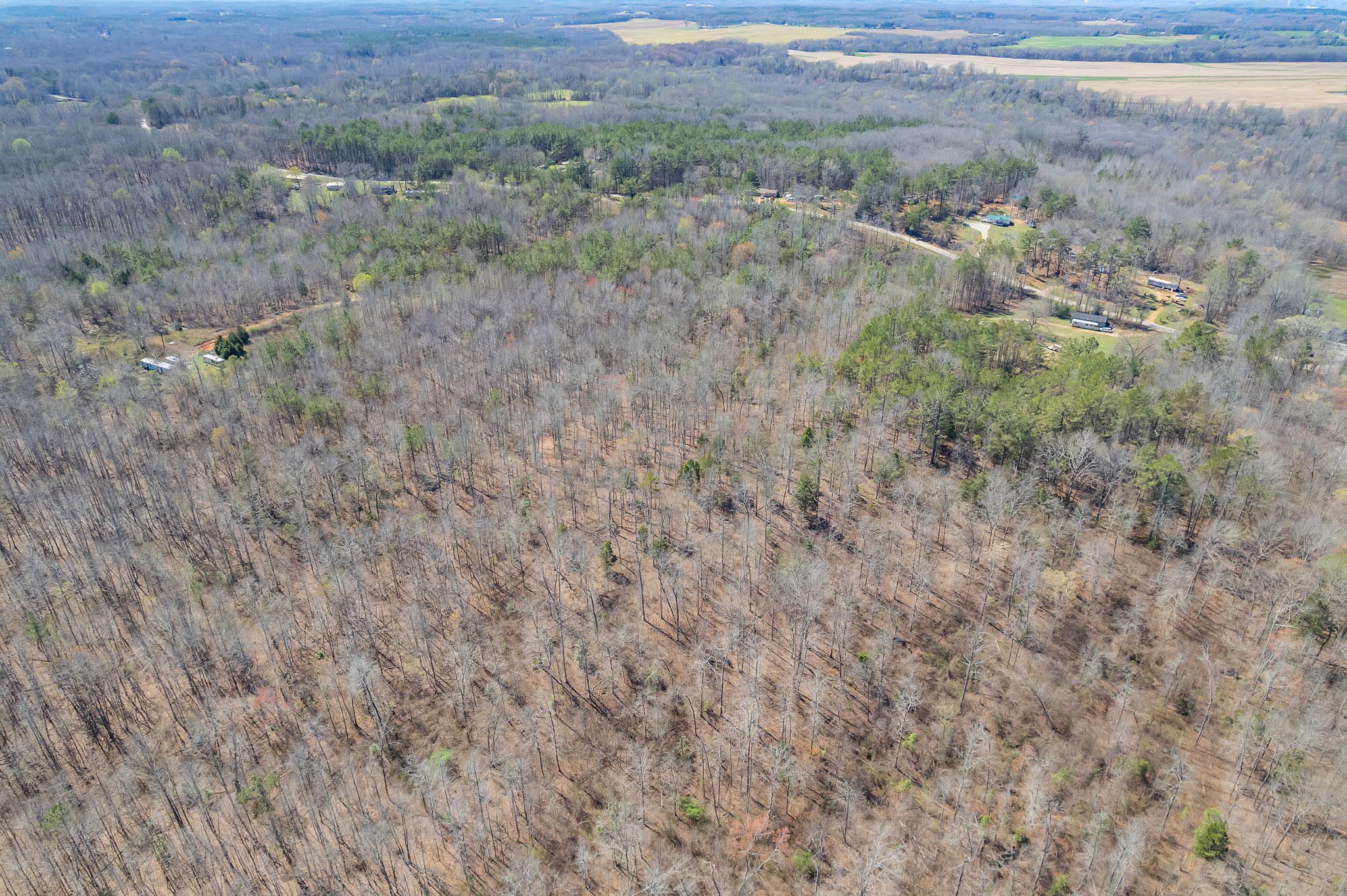 0 Sweetlips Road Property Photo 1