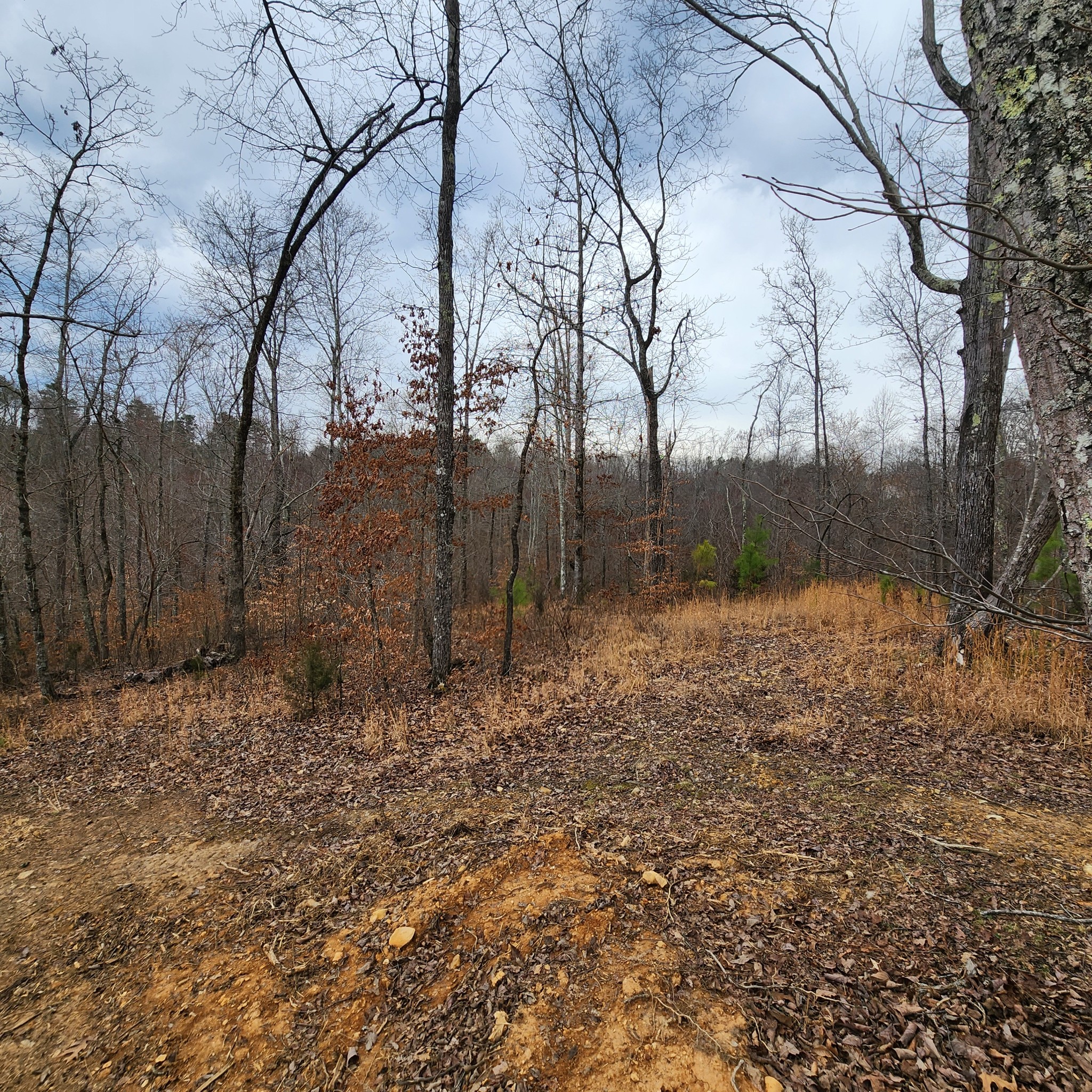 584 Back Bone Rd Property Photo 1