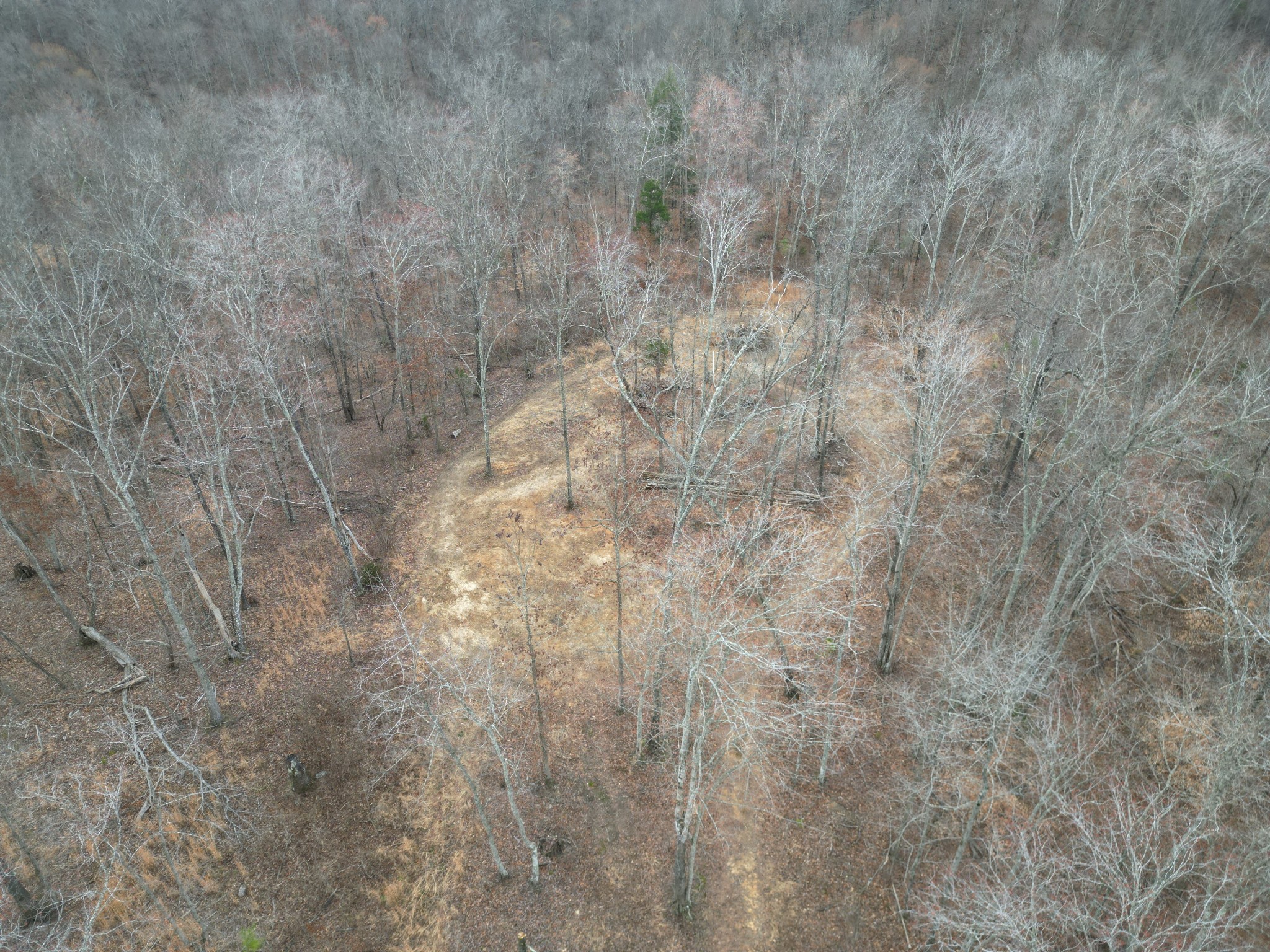 584 Back Bone Rd Property Photo 2