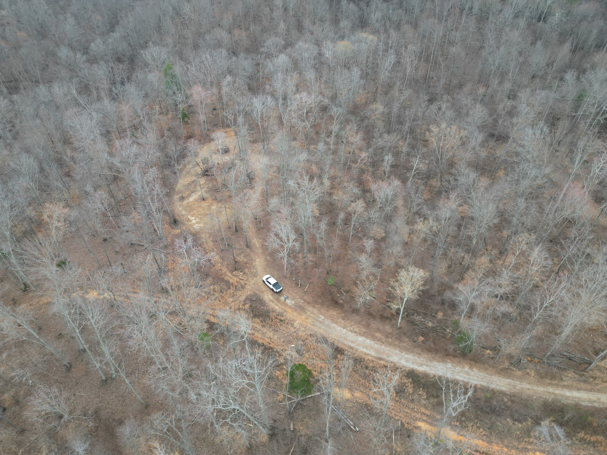 584 Back Bone Rd Property Photo 3