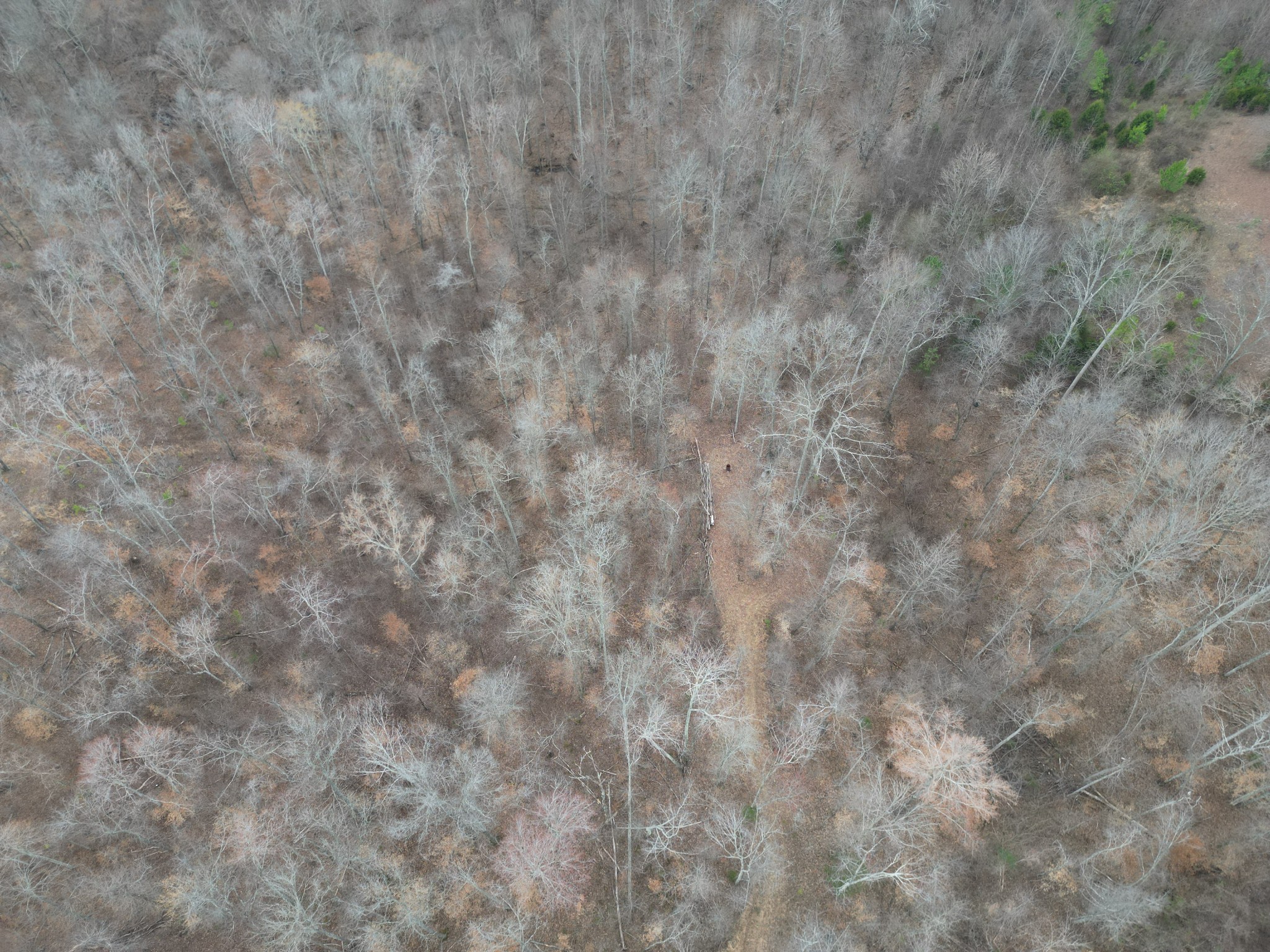 584 Back Bone Rd Property Photo 6