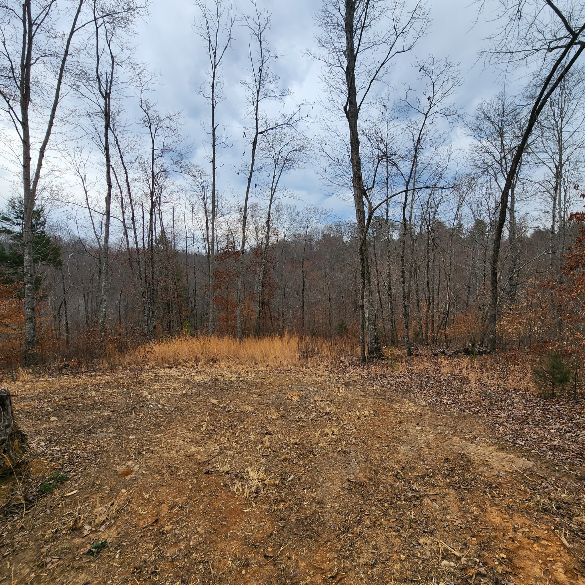 584 Back Bone Rd Property Photo 8