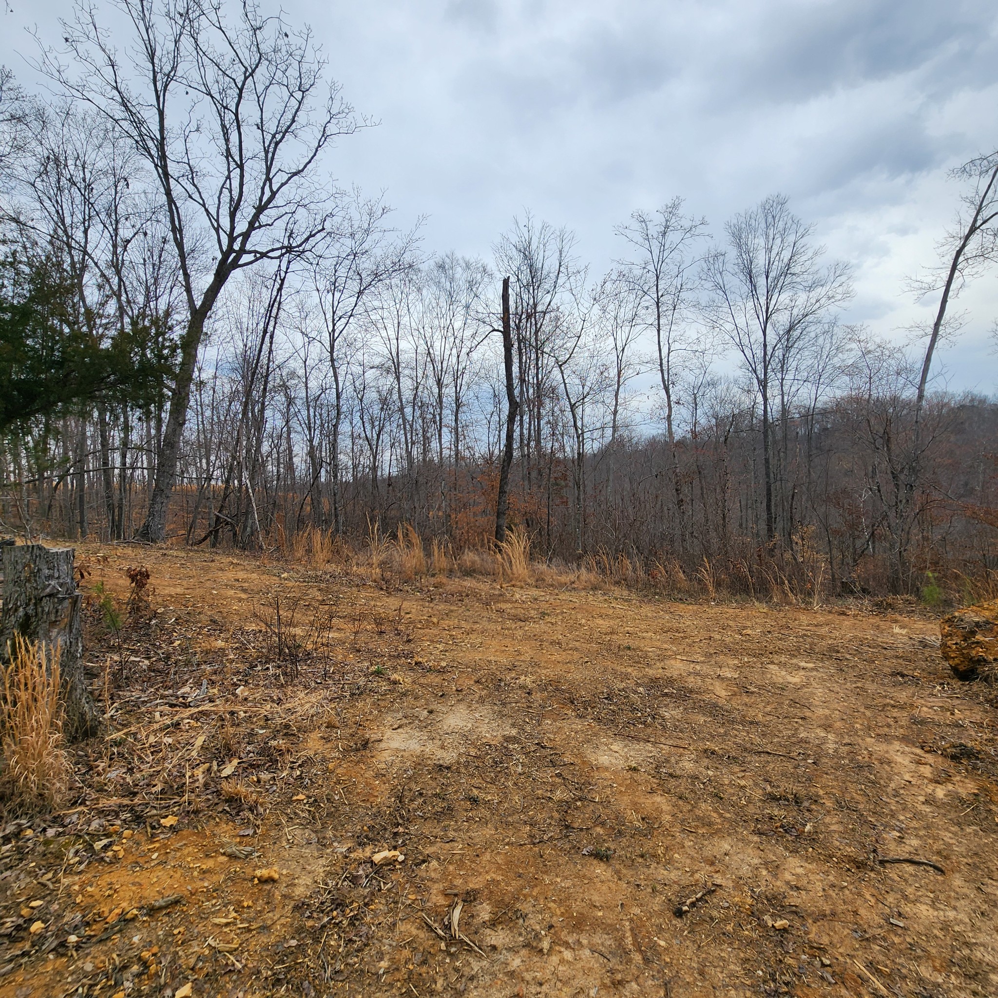 584 Back Bone Rd Property Photo 9
