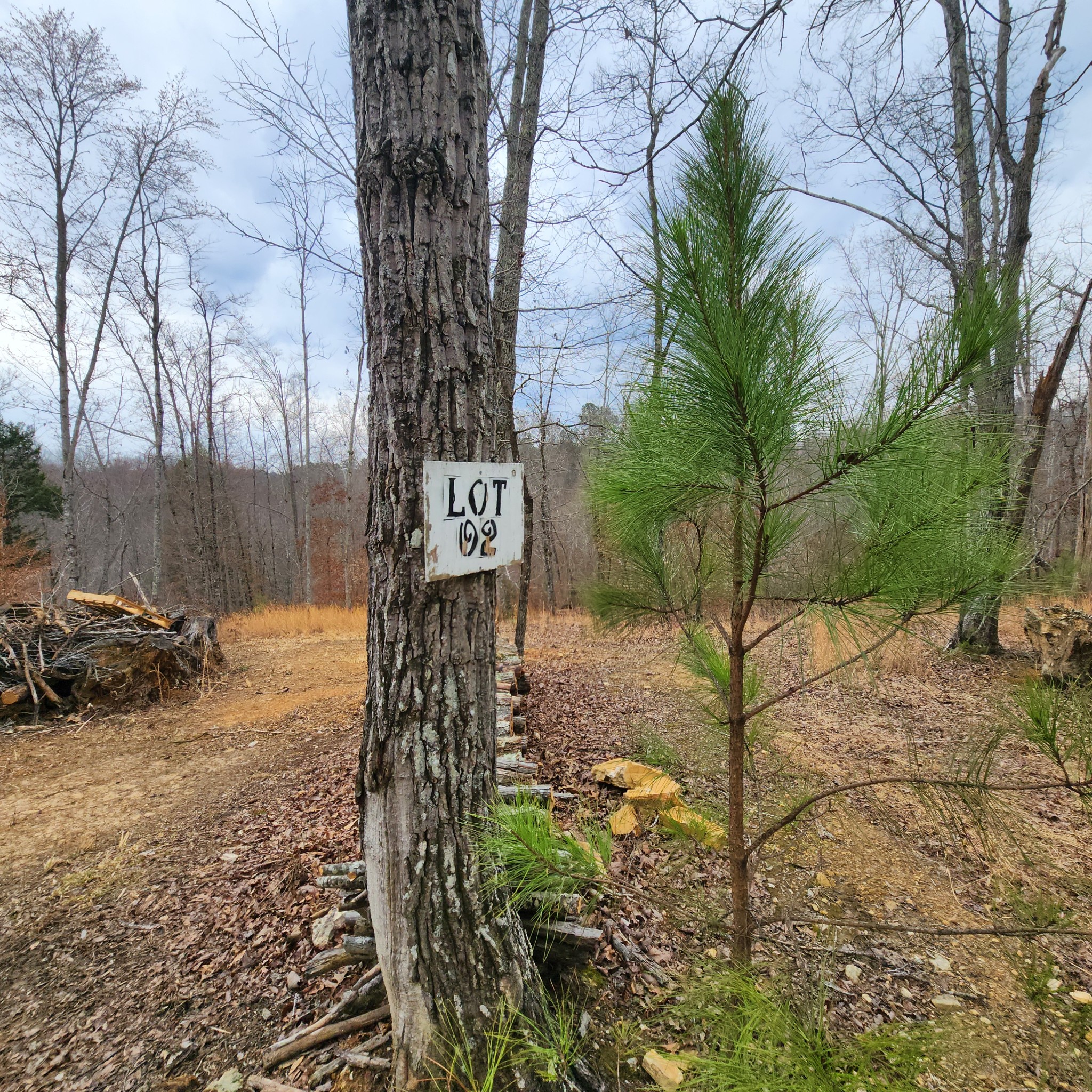584 Back Bone Rd Property Photo 10