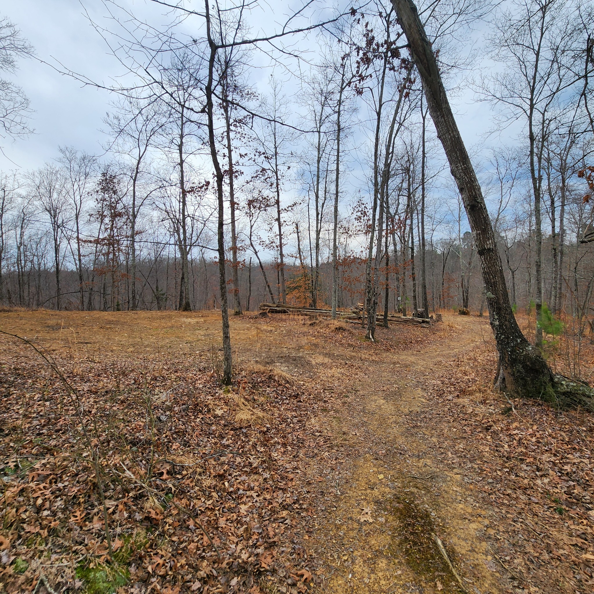 584 Back Bone Rd Property Photo 11