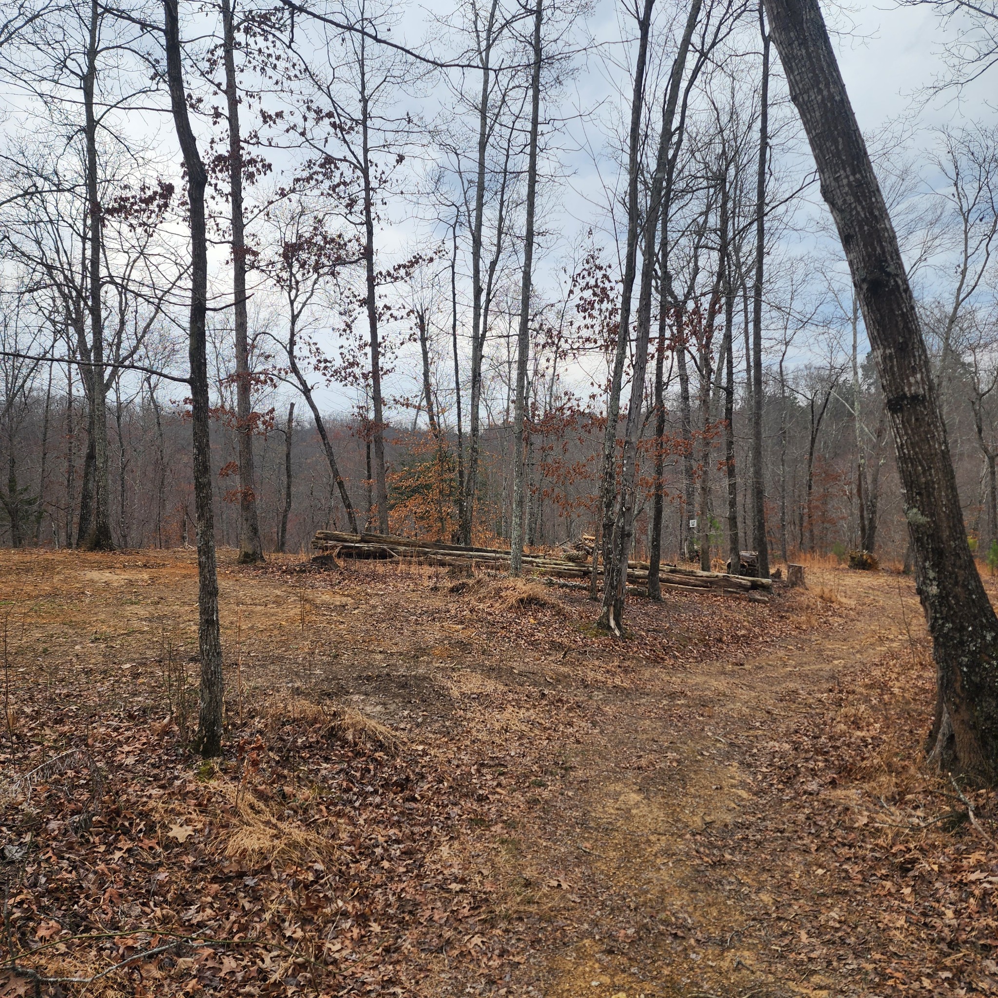584 Back Bone Rd Property Photo 12