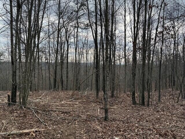 11 South Pittsburg Mountain Road Property Photo 1