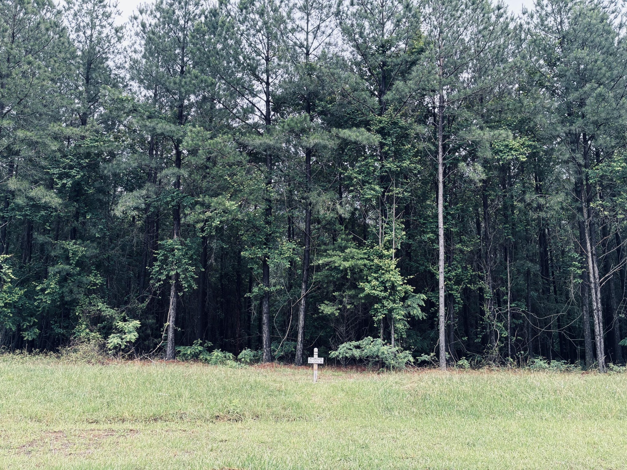 3525 Crockett Point Property Photo 2