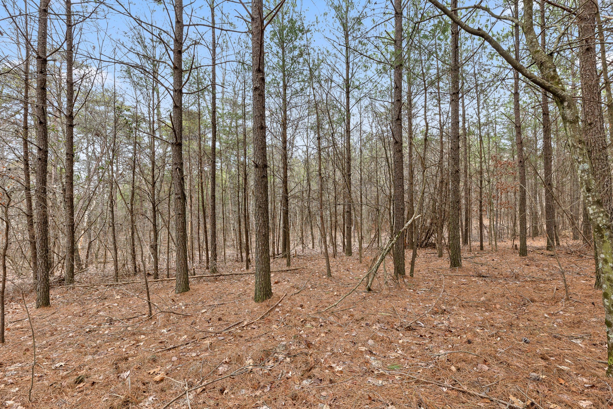 0 Crockett Point Property Photo 10