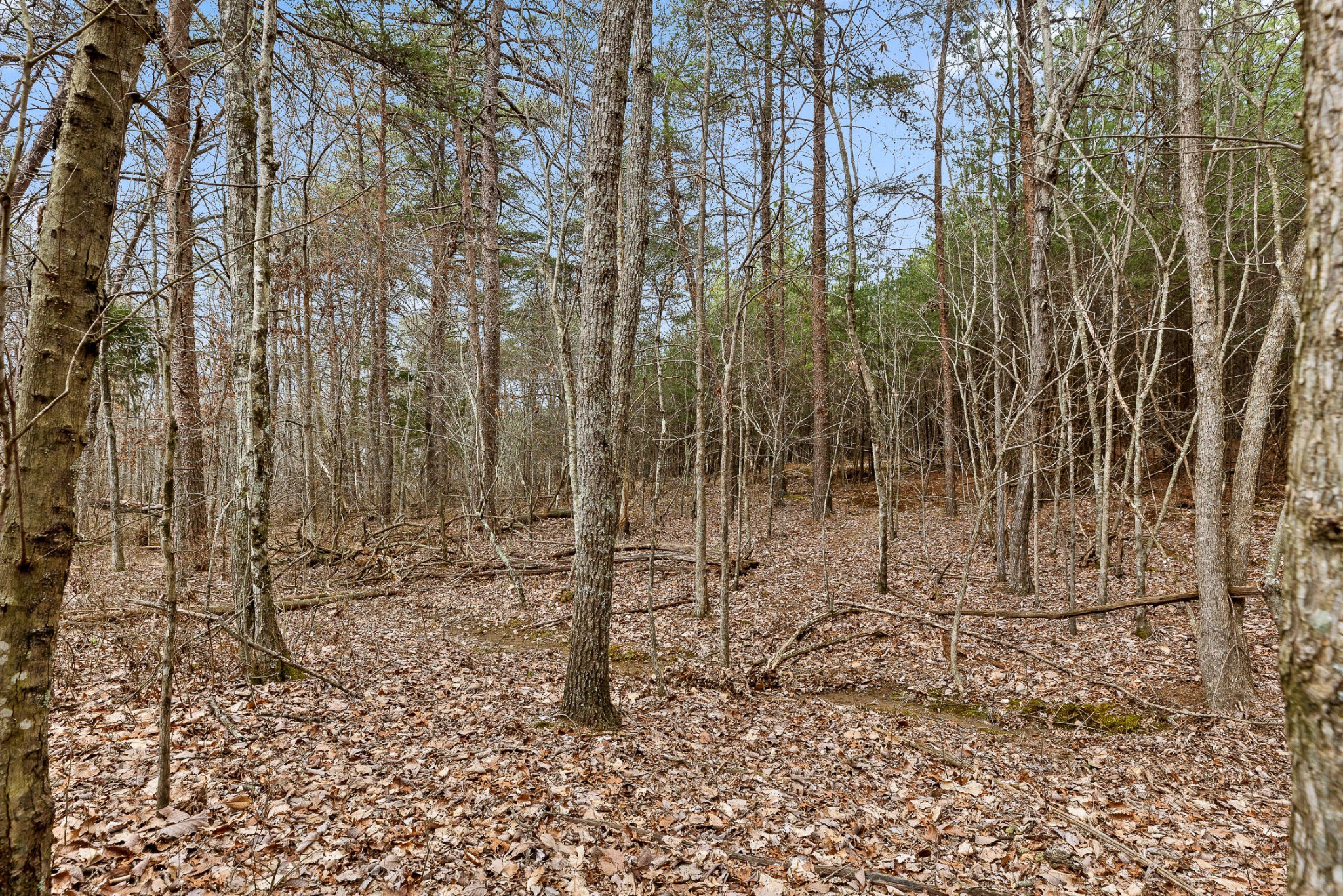 0 Crockett Point Property Photo 15