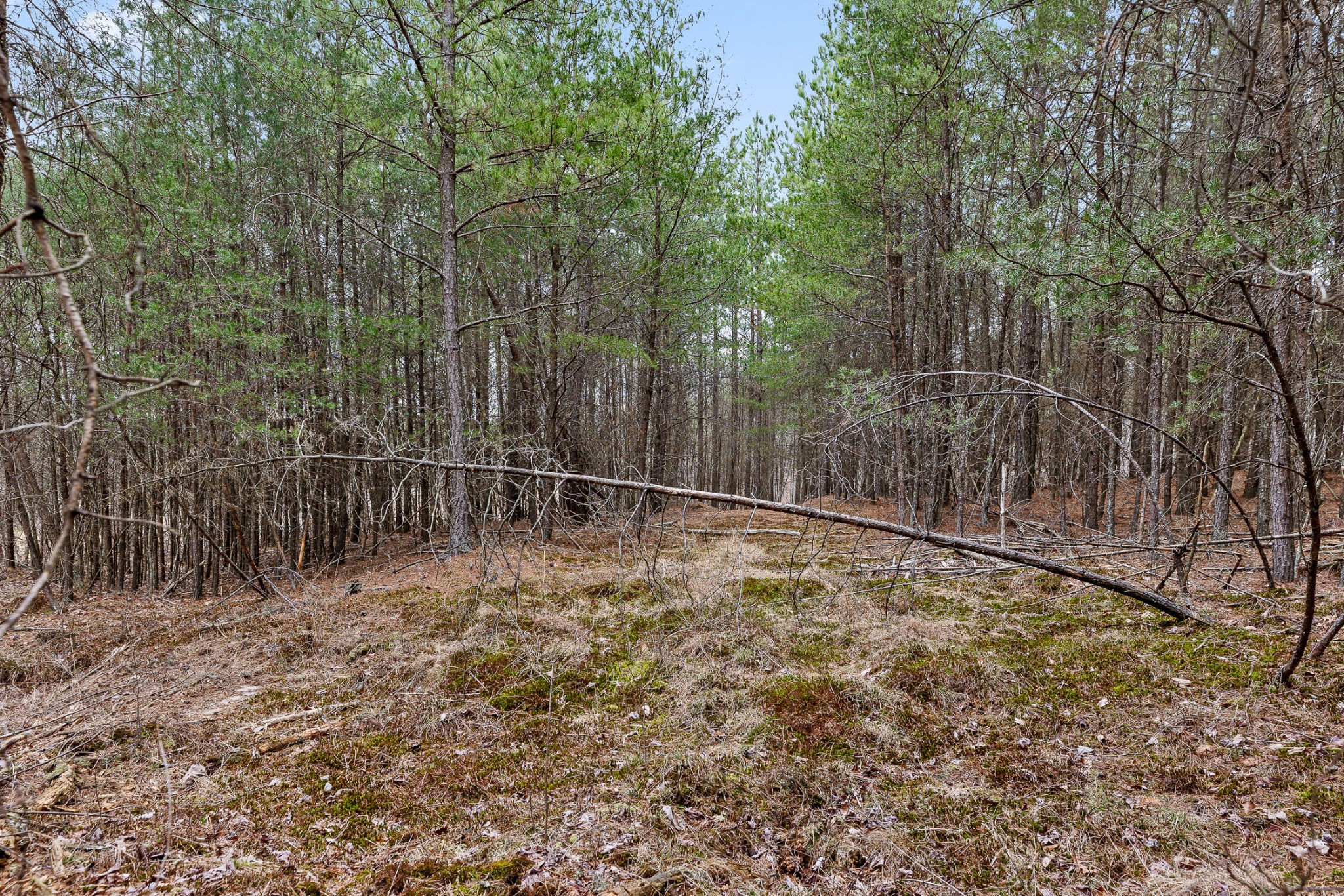 0 Crockett Point Property Photo 17