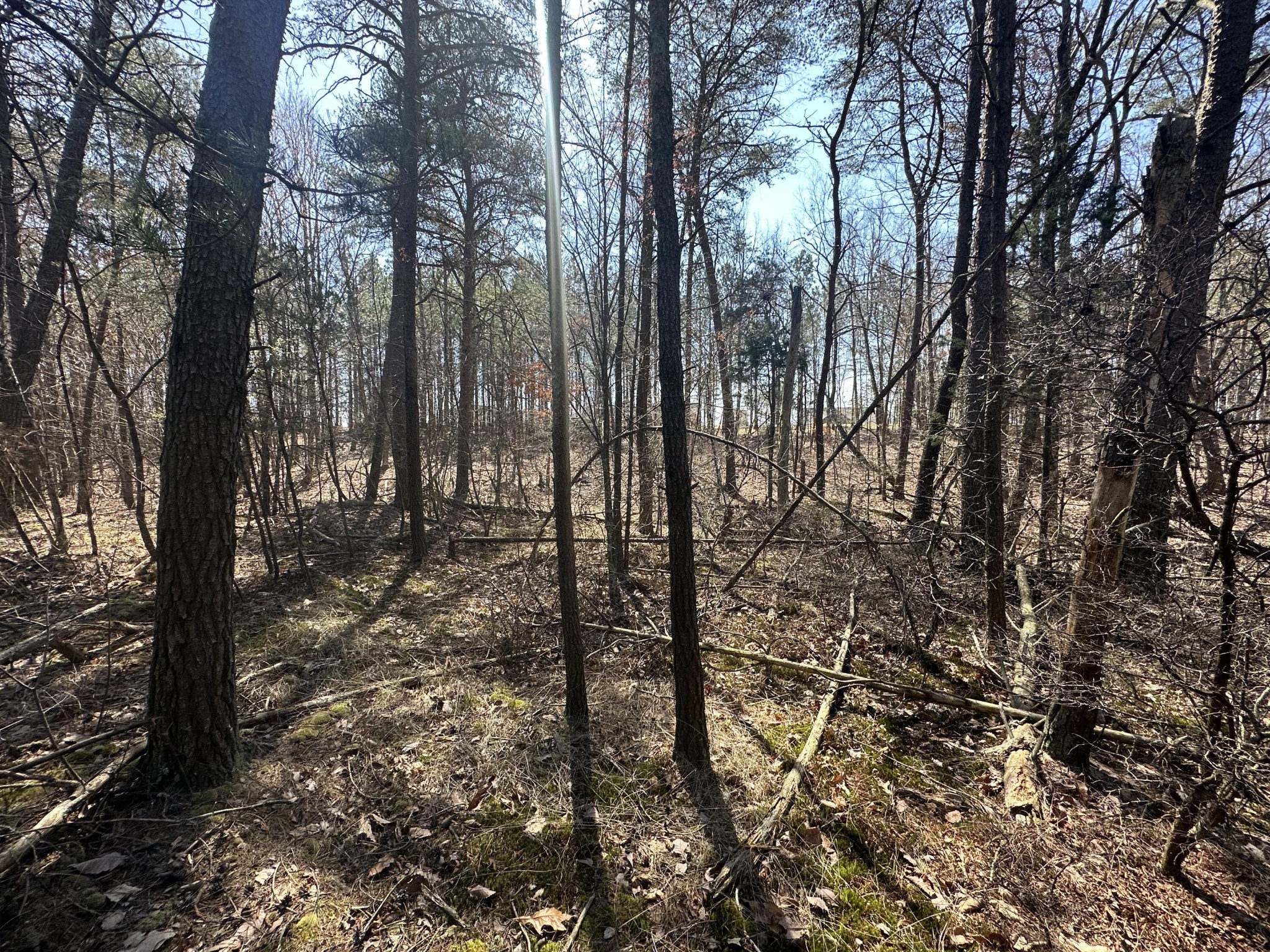 0 Crockett Point Property Photo 44