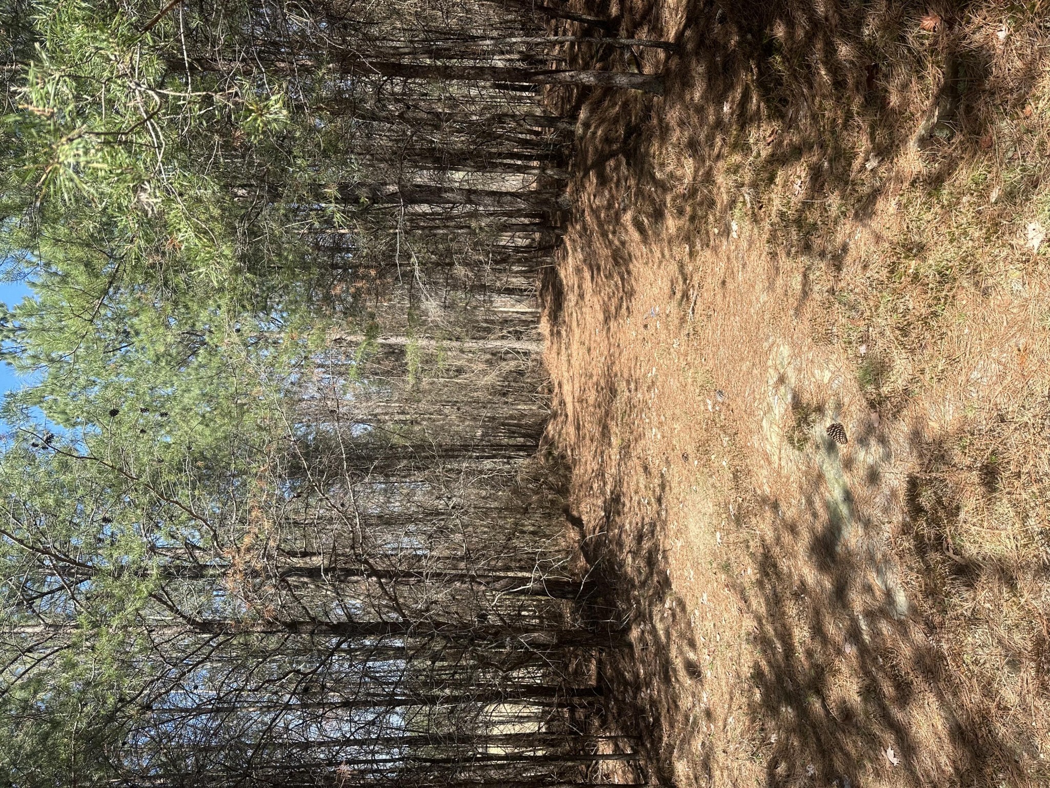 0 Crockett Point Property Photo 45