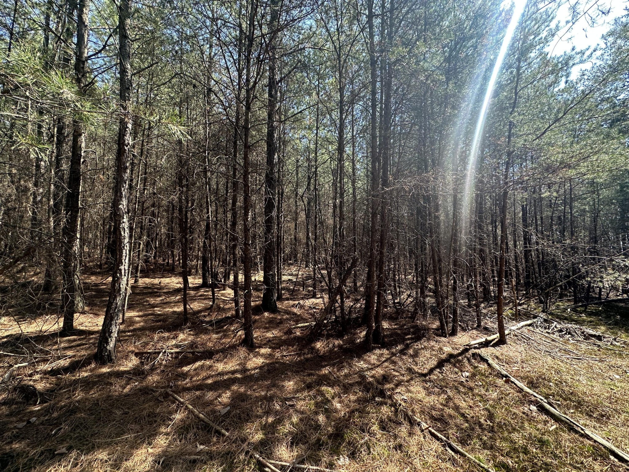 0 Crockett Point Property Photo 47