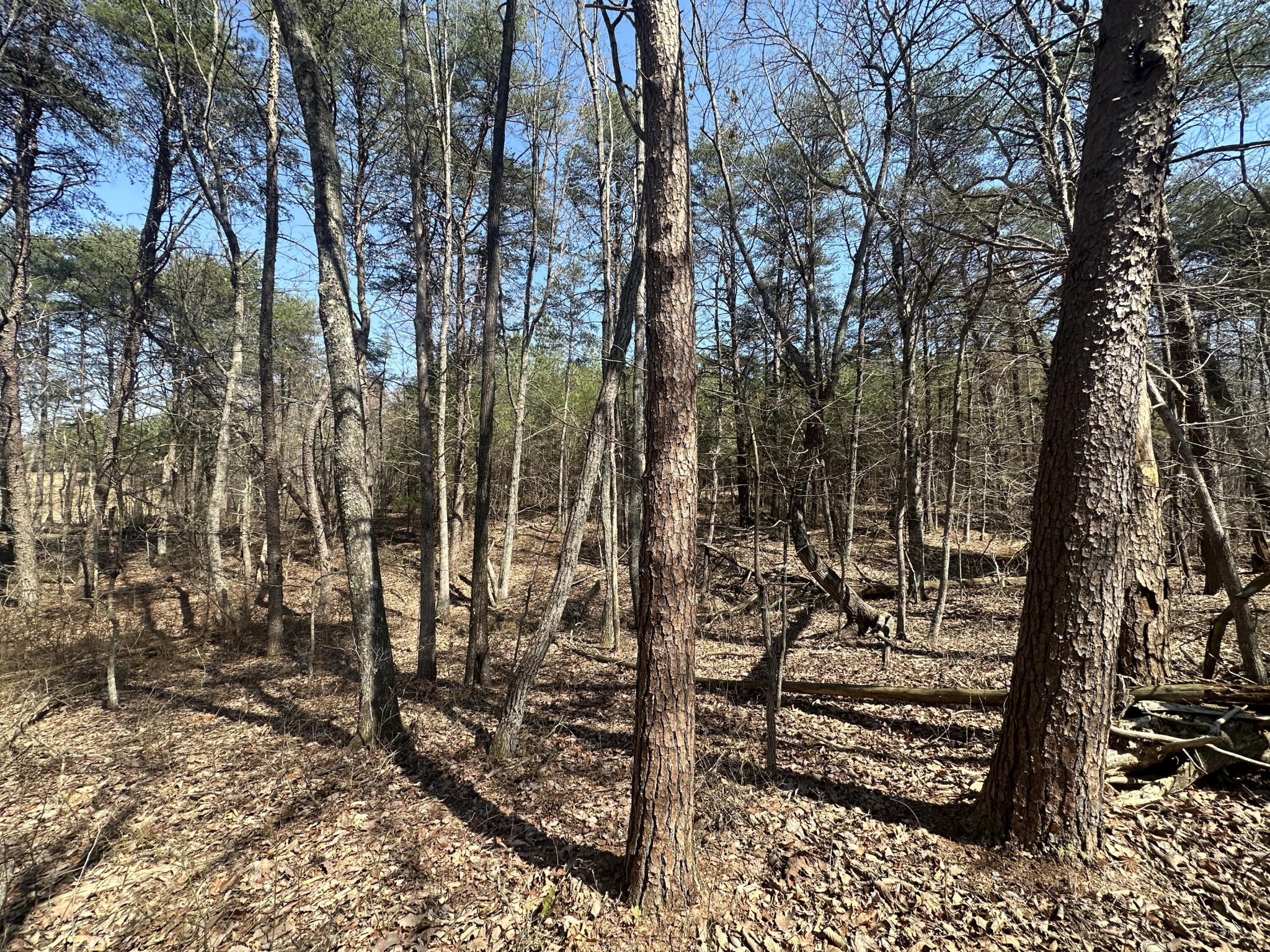 0 Crockett Point Property Photo 50