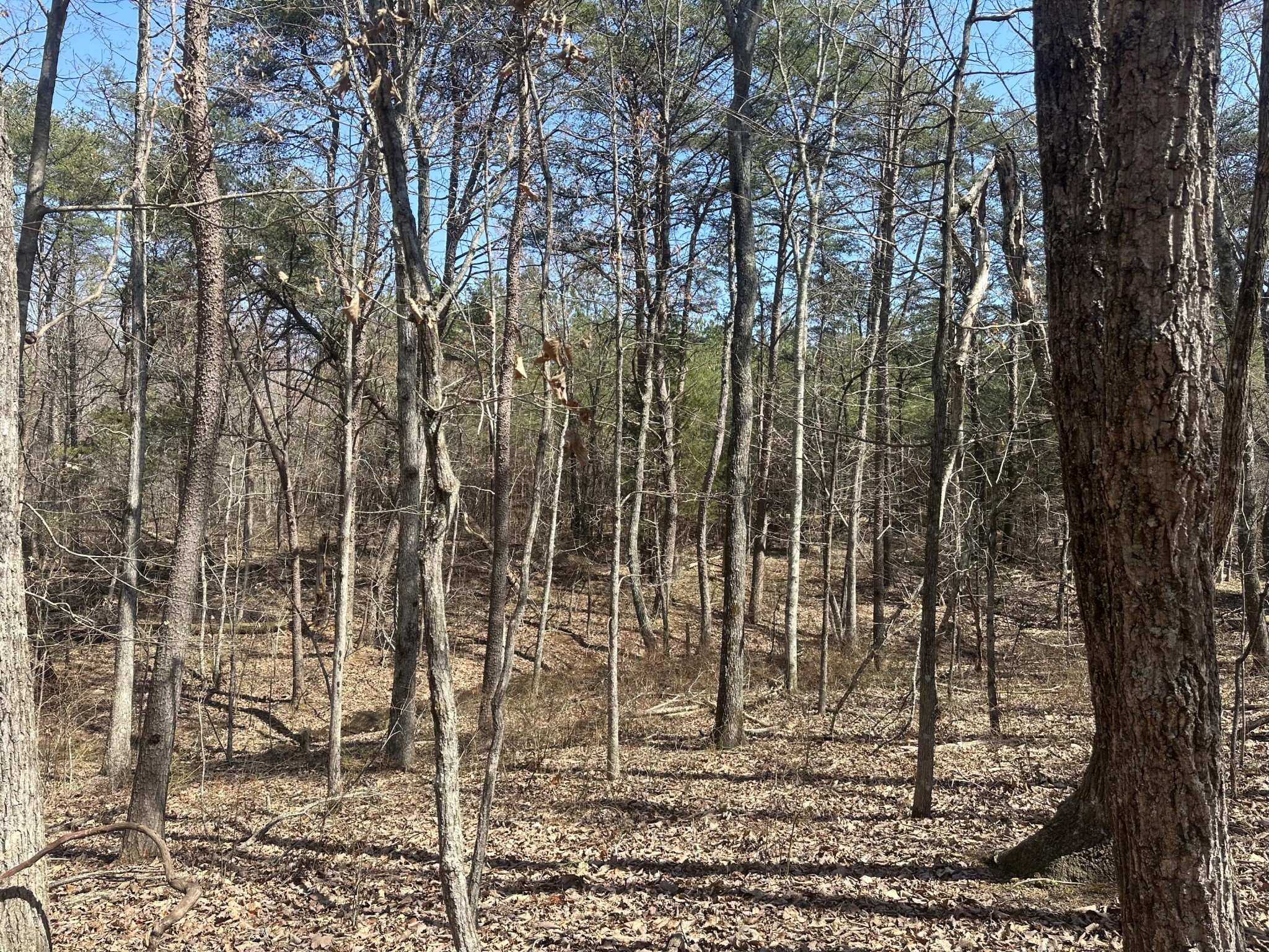 0 Crockett Point Property Photo 51