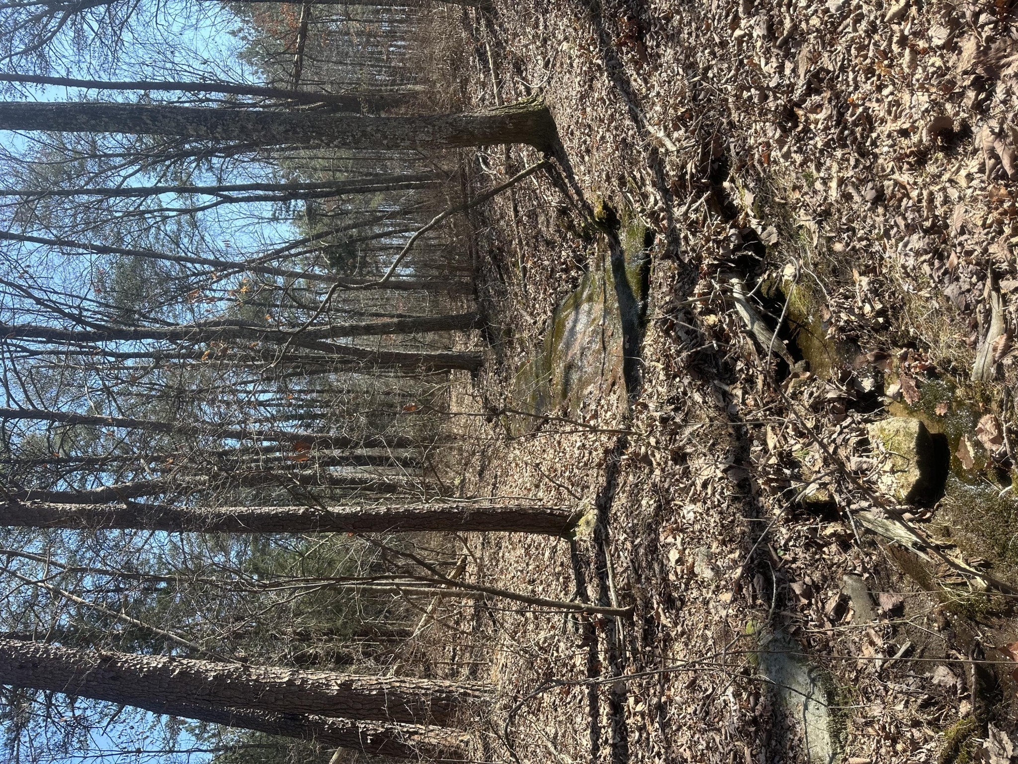 0 Crockett Point Property Photo 52
