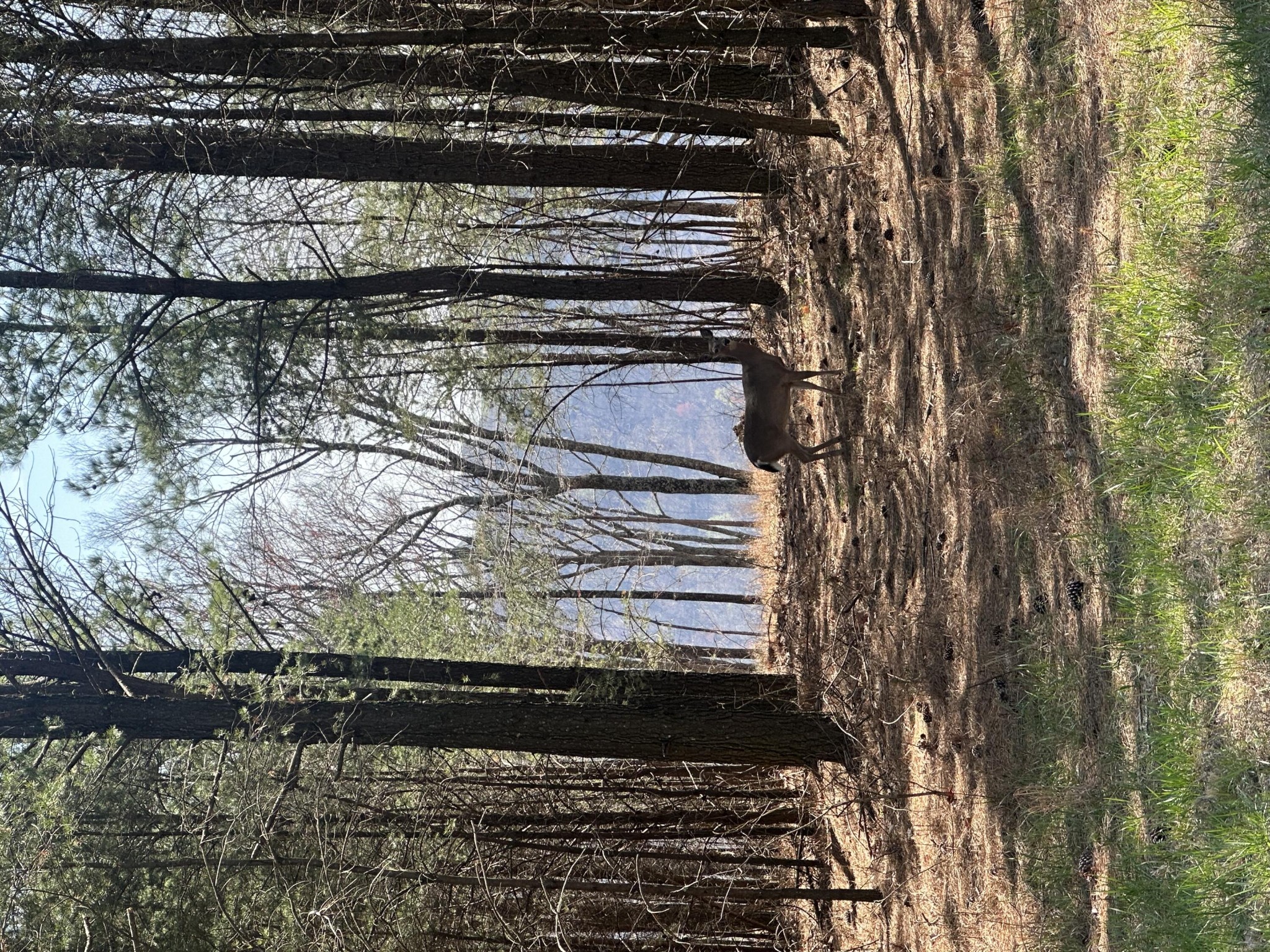 0 Crockett Point Property Photo 56
