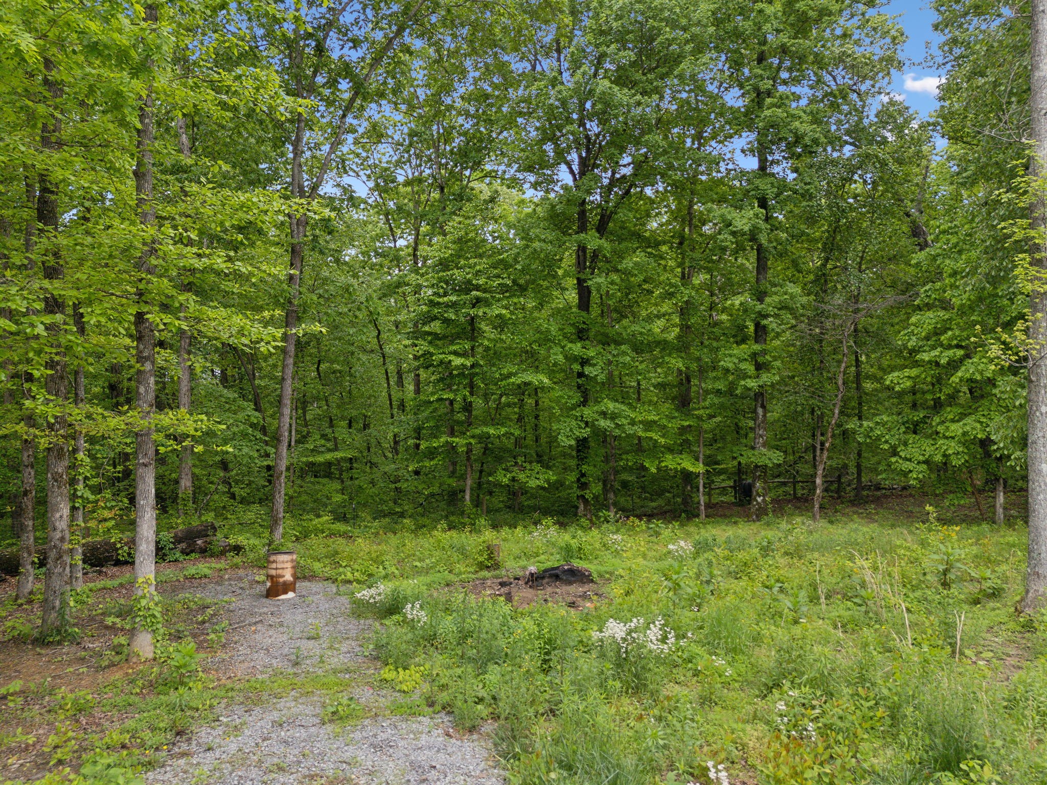 6033 Vesper Way Property Photo 76