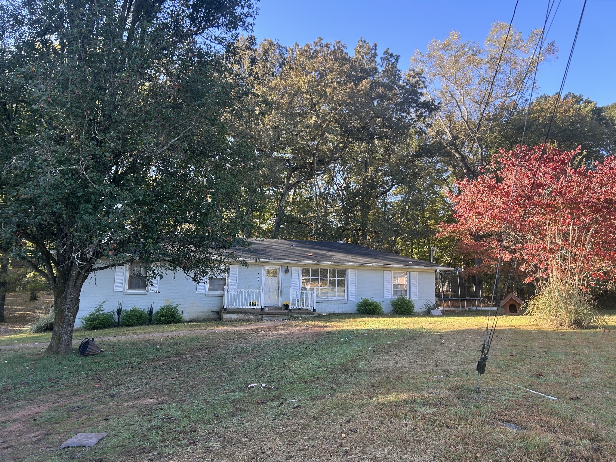 309 Stella Ave Property Photo 1