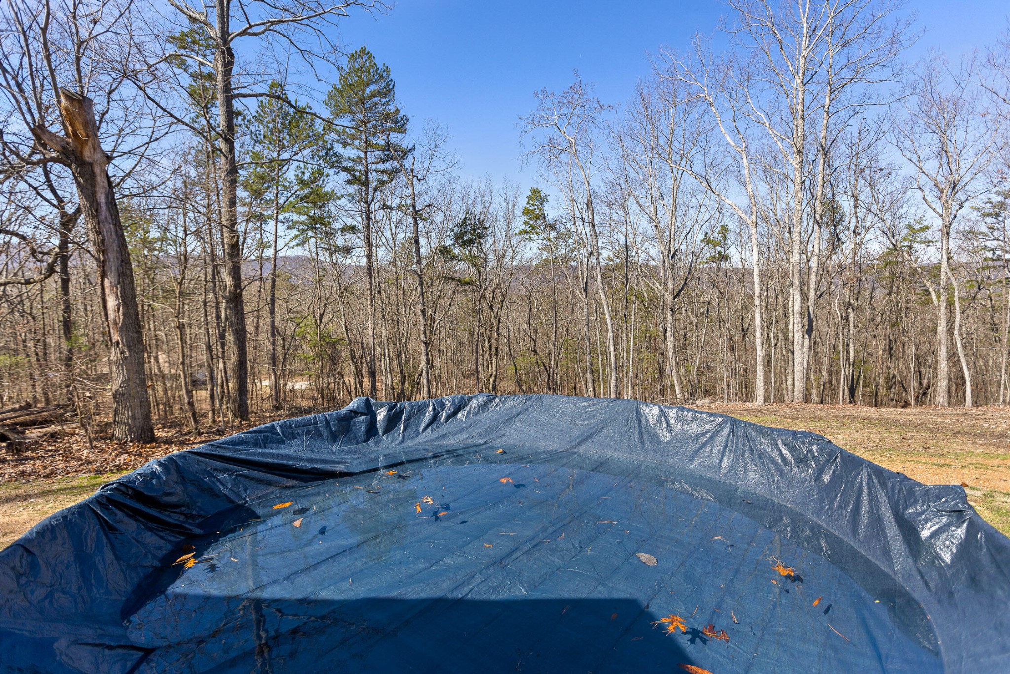 1080 Harp Switch Road Property Photo 38