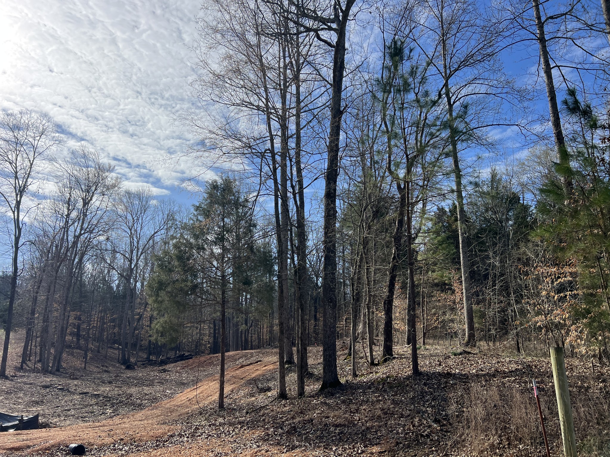 0 Excalibur Trail Property Photo 1