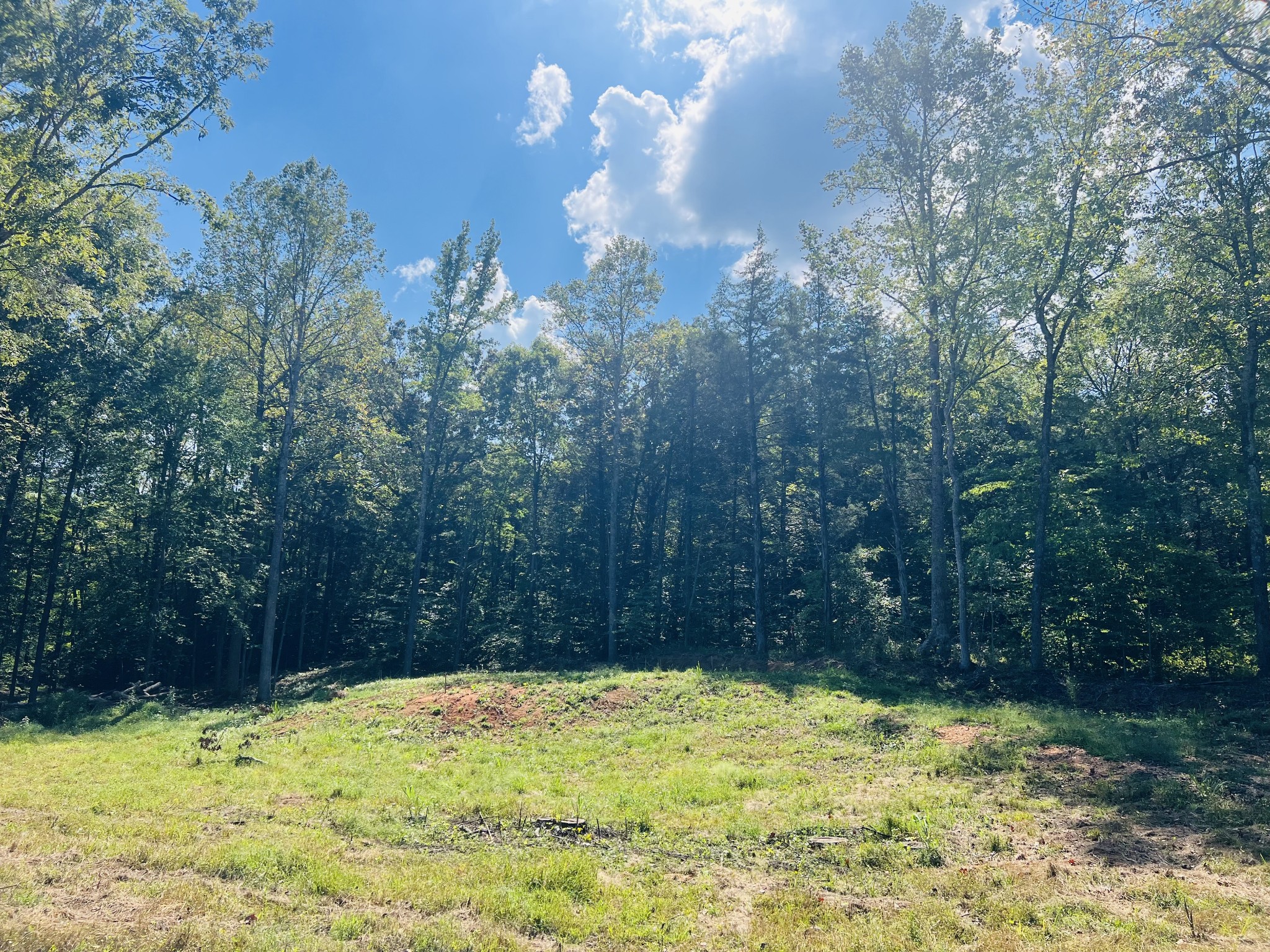 0 Excalibur Trail Property Photo 1
