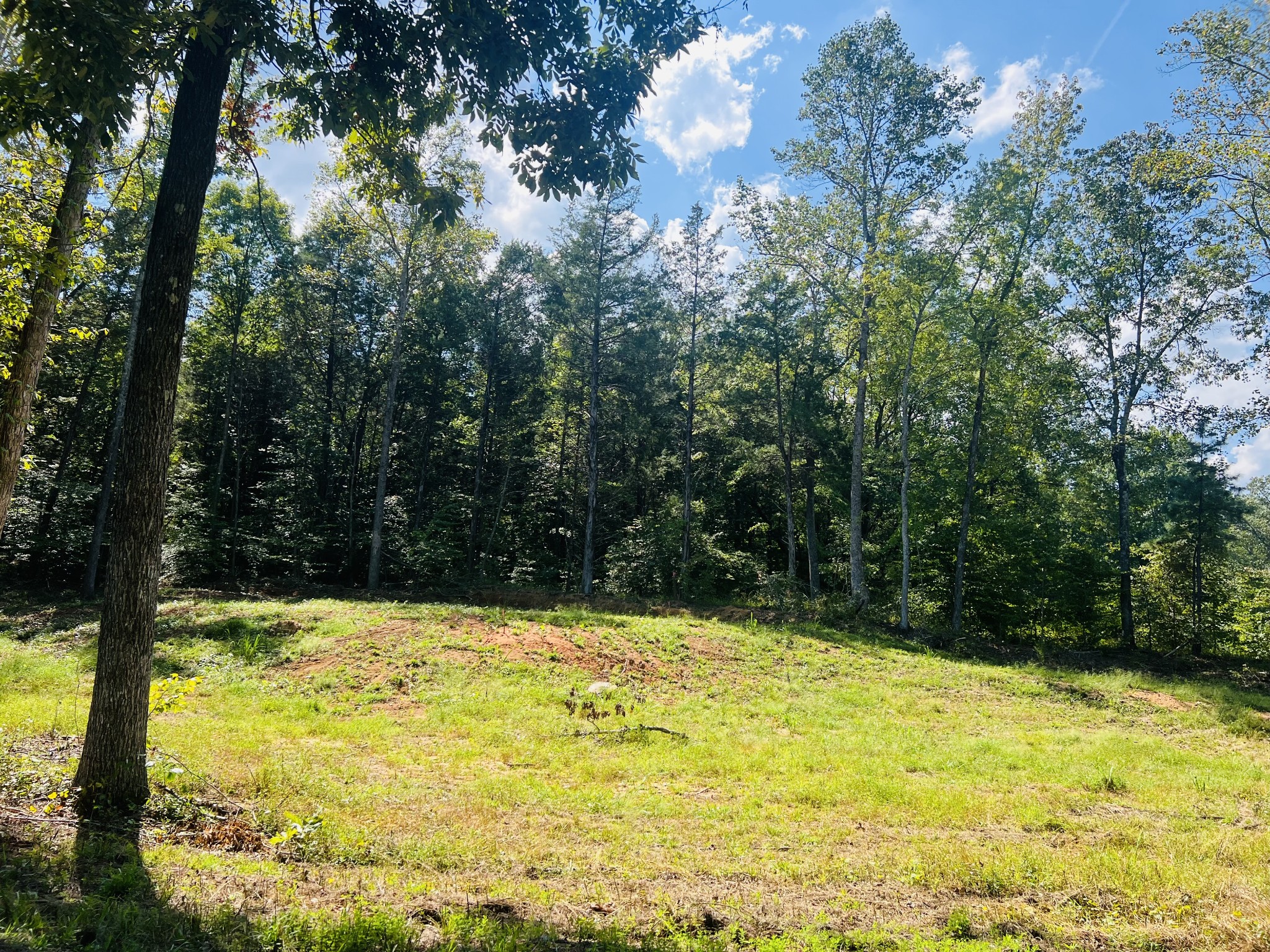 0 Excalibur Trail Property Photo 2