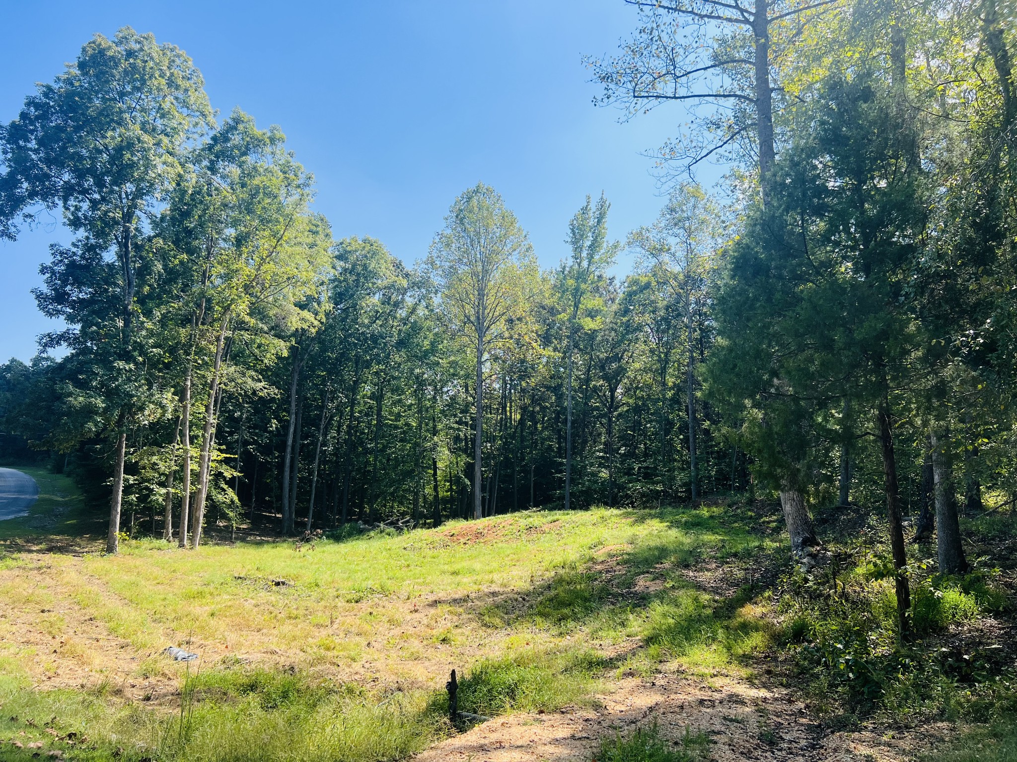 0 Excalibur Trail Property Photo 3
