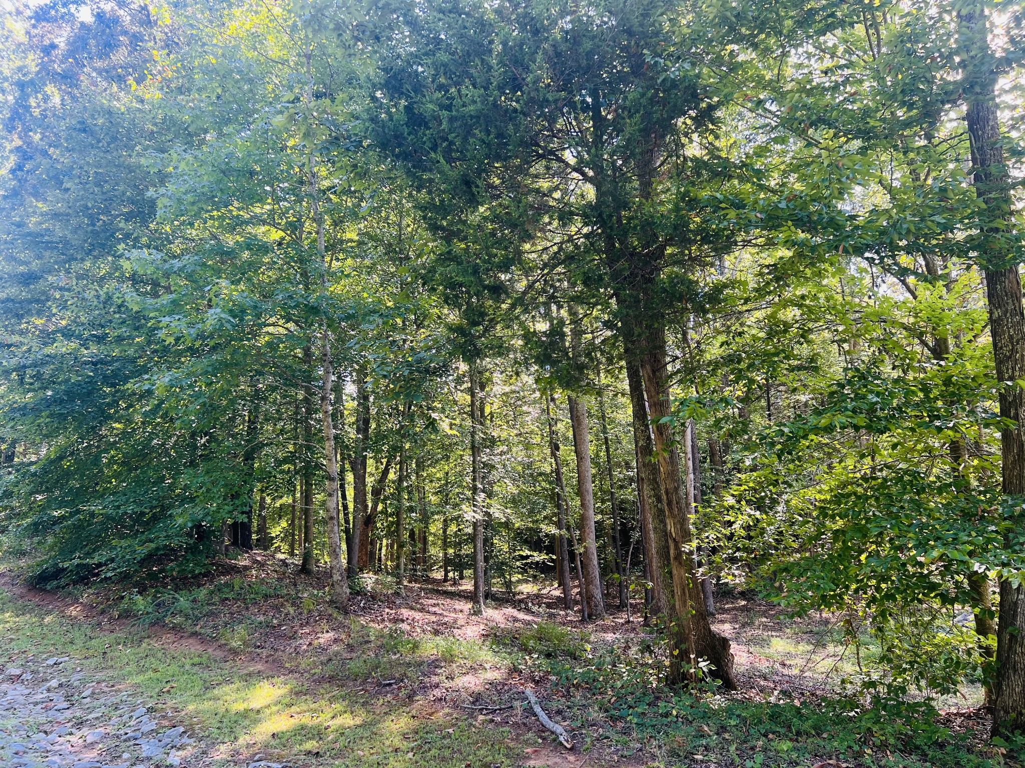 0 Excalibur Trail Property Photo 4