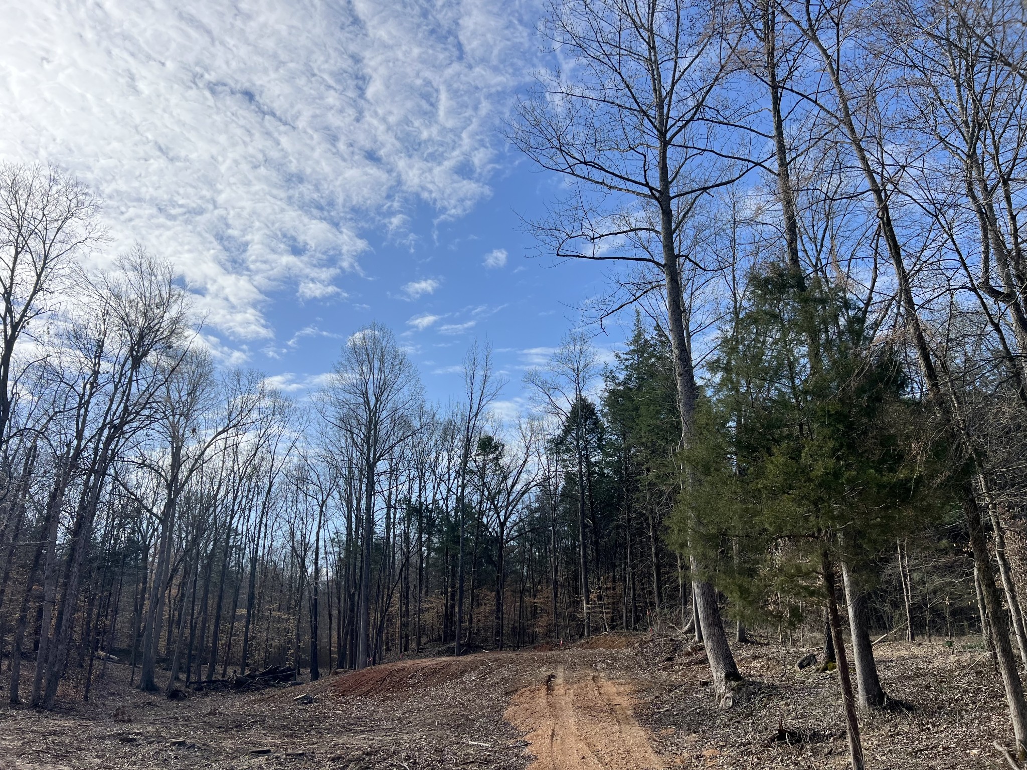 0 Excalibur Trail Property Photo 8