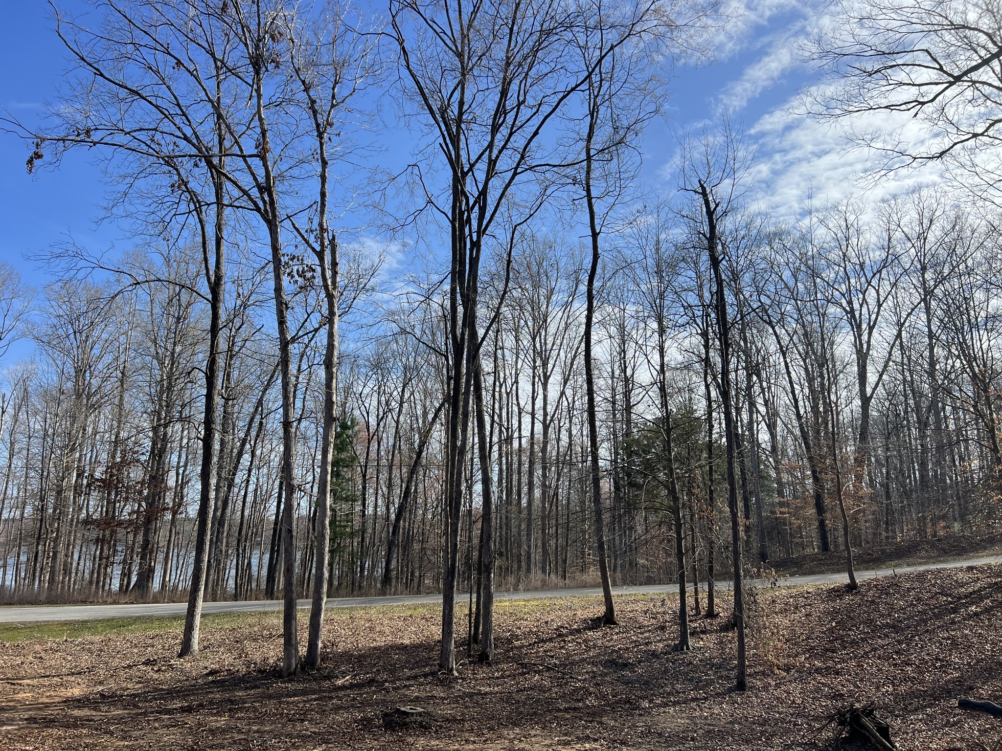 0 Excalibur Trail Property Photo 12