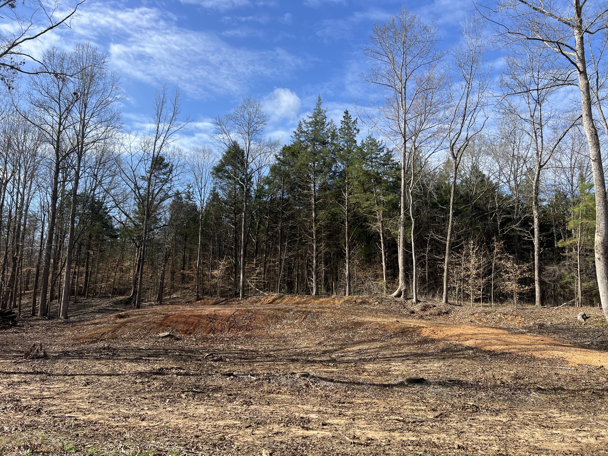 0 Excalibur Trail Property Photo 14