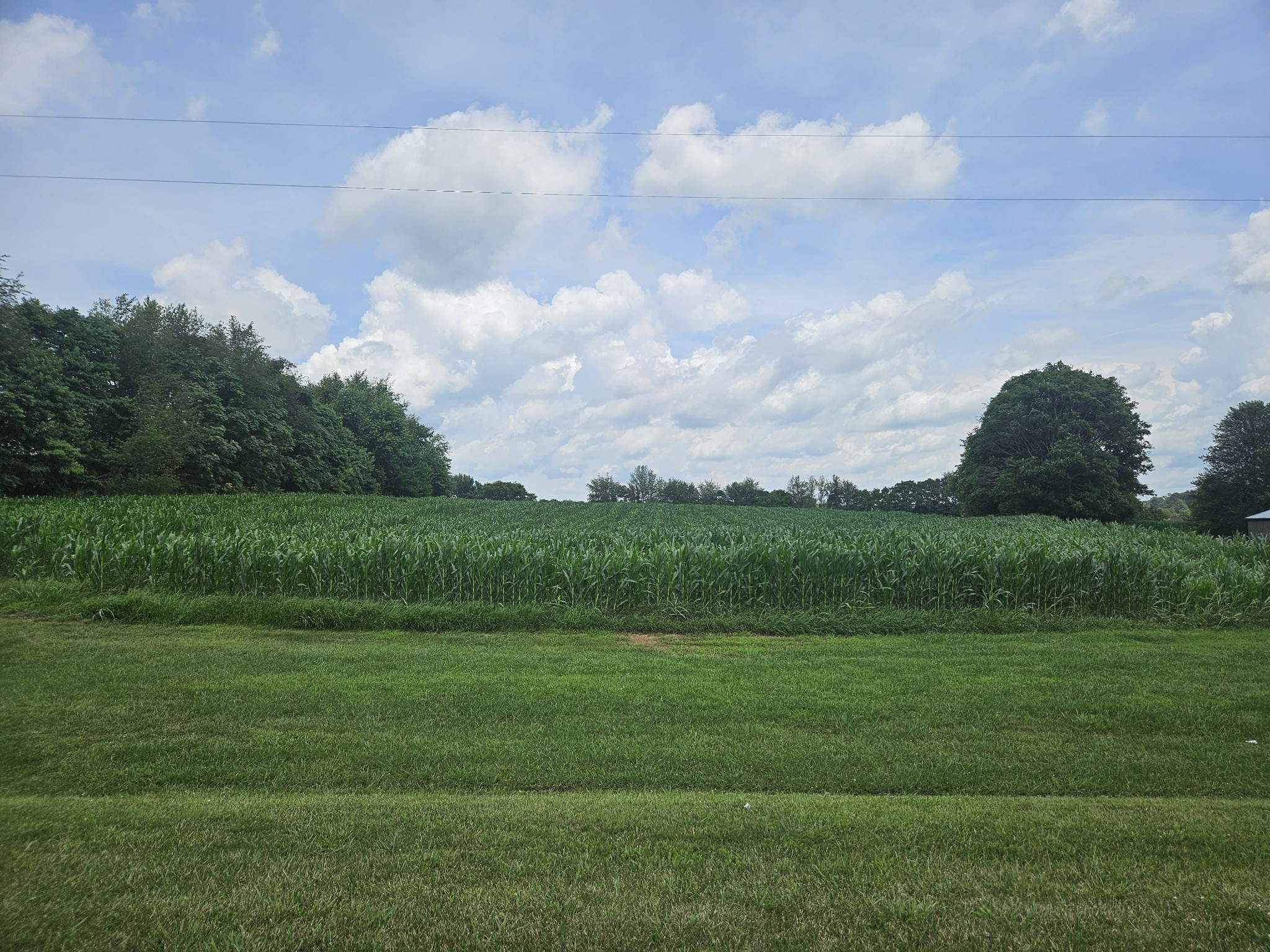 0 Highway 52 West Property Photo 1