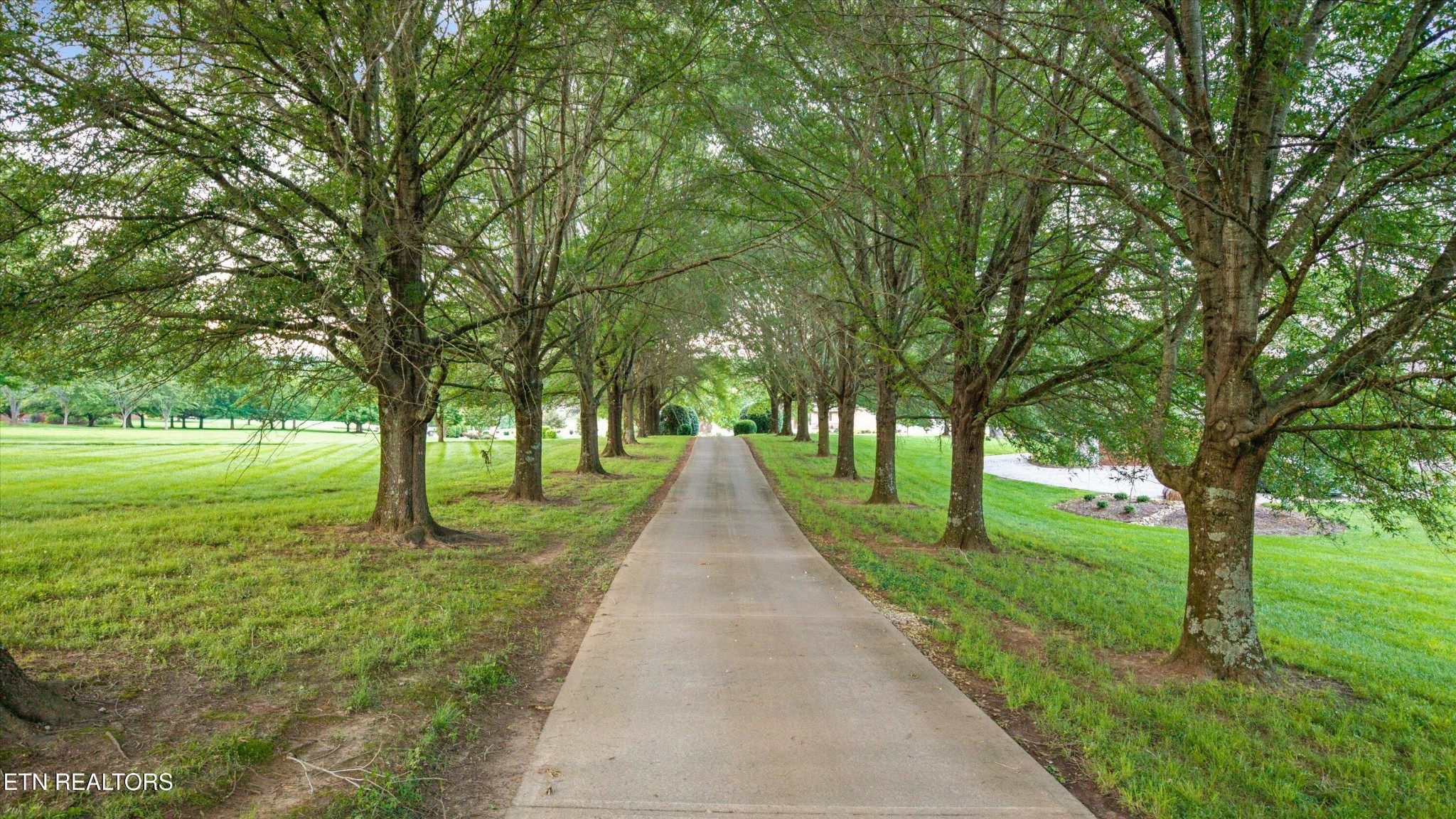3801 Jackson Bend Drive Property Photo 60
