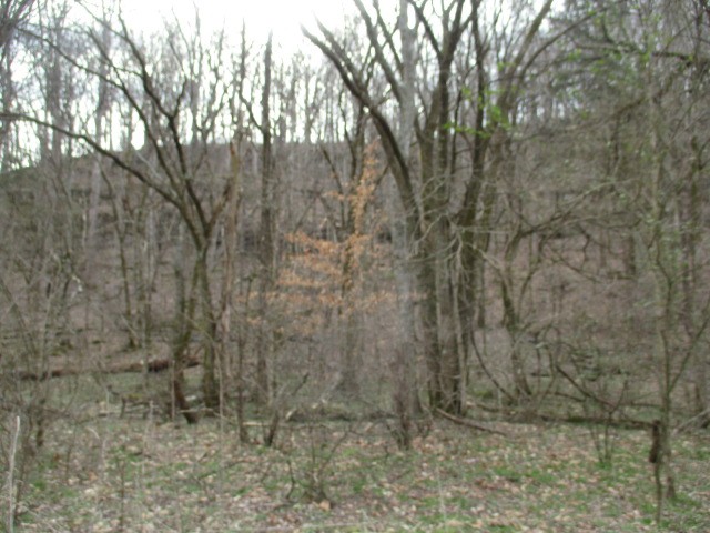 0 Rogues Fork Creek Road Property Photo 1