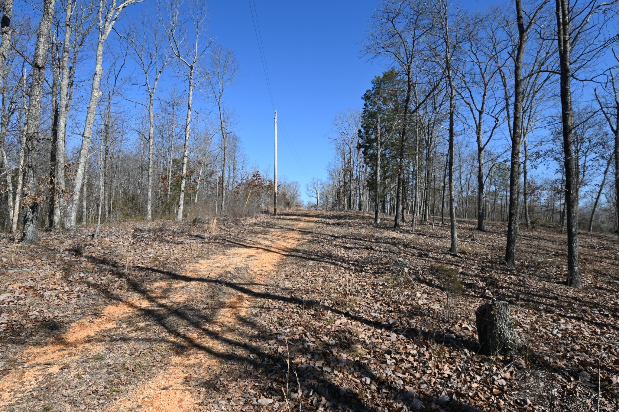117 Wyatt Ln Property Photo 1