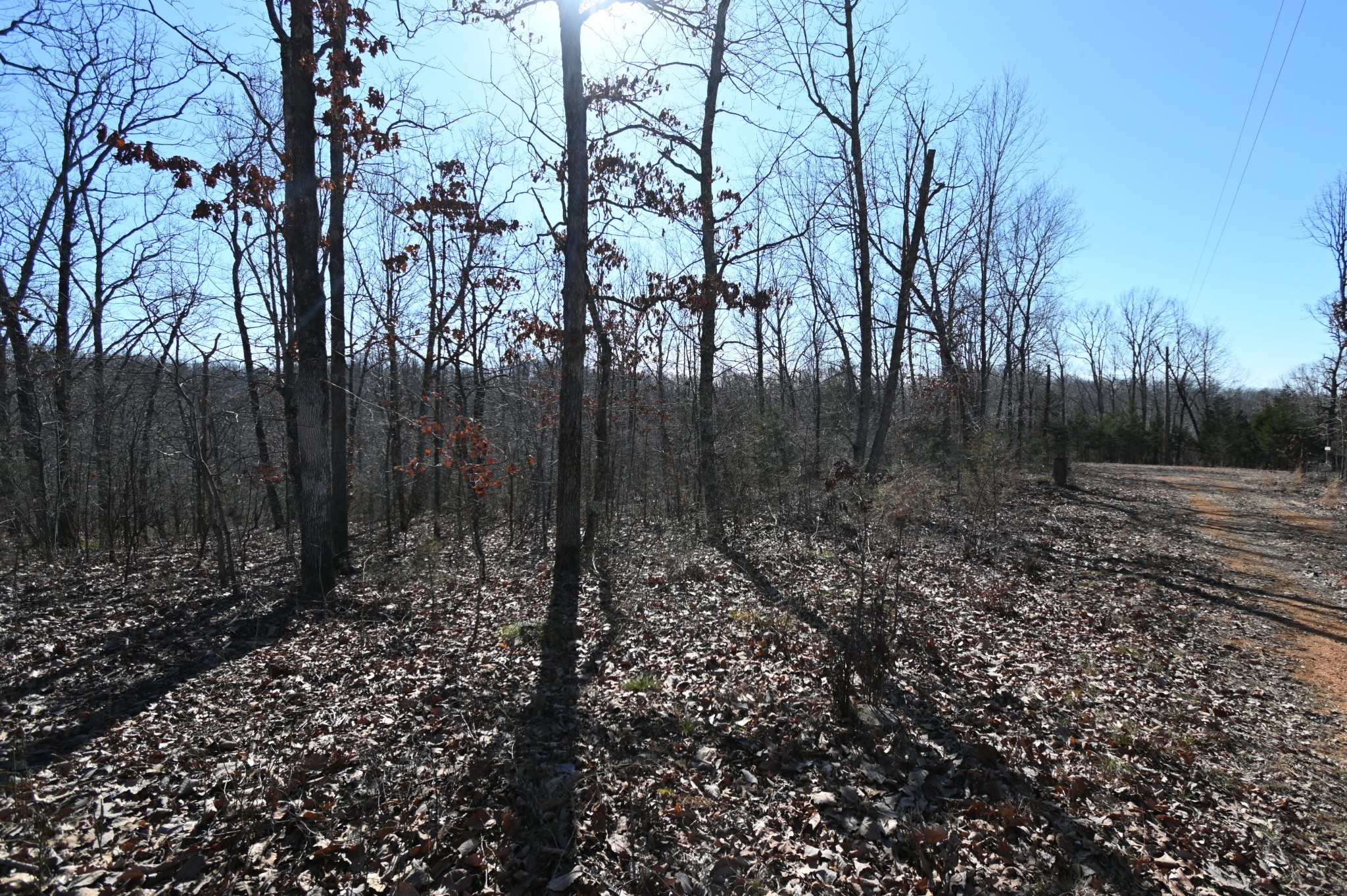 117 Wyatt Ln Property Photo 2