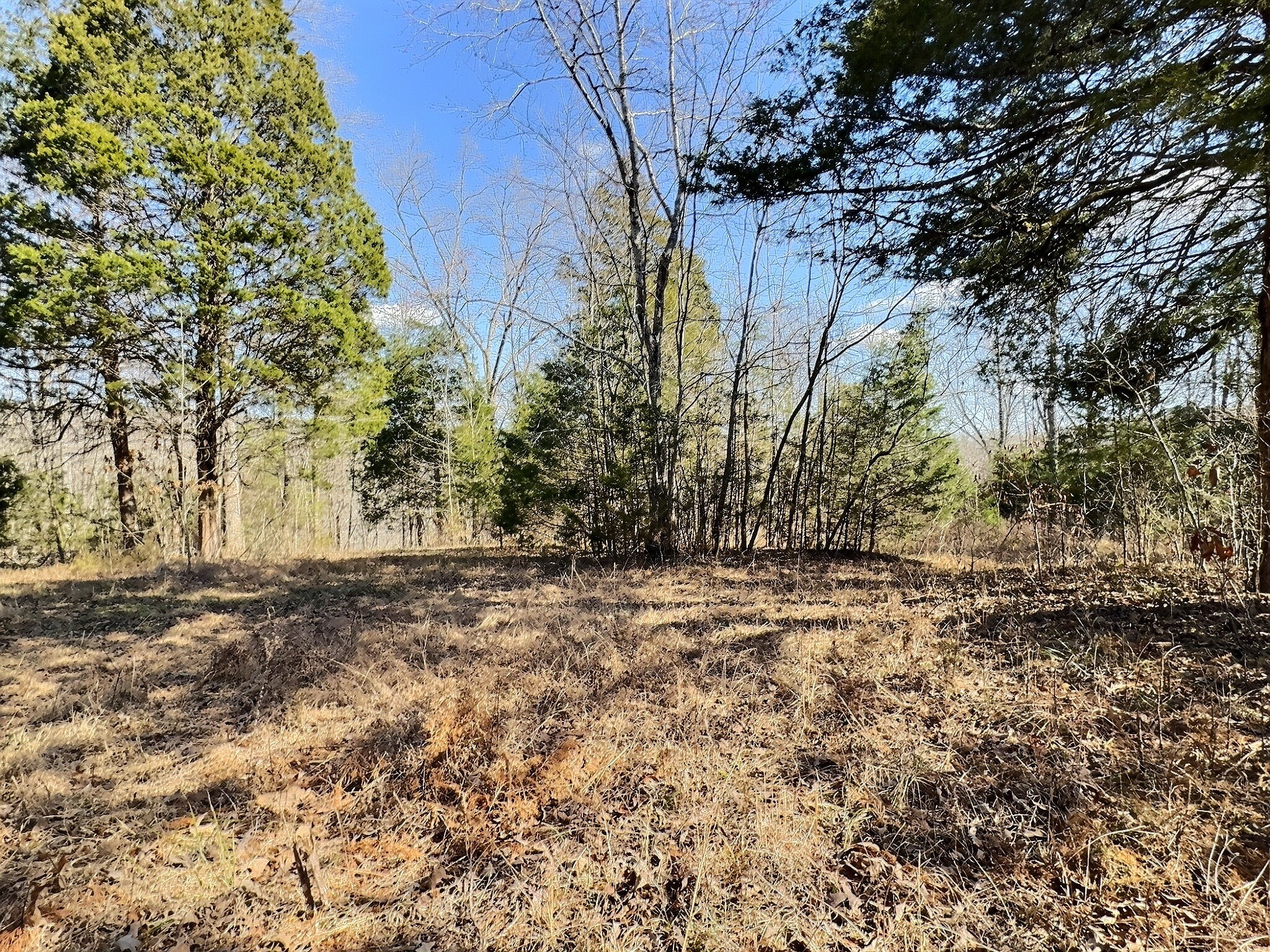 7307 Brush Creek Rd Property Photo 28