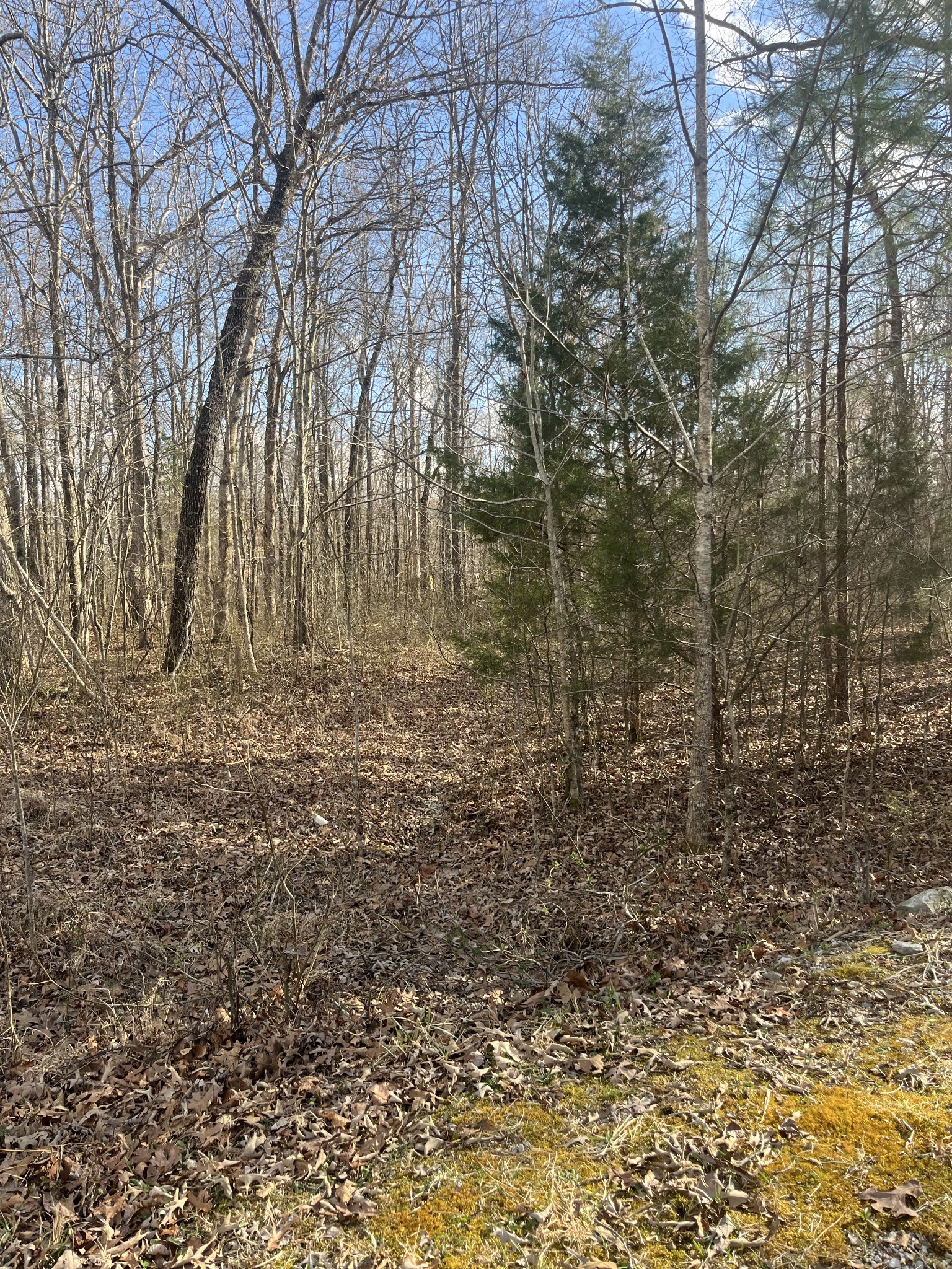 0 Boyton Valley Rd Property Photo 1