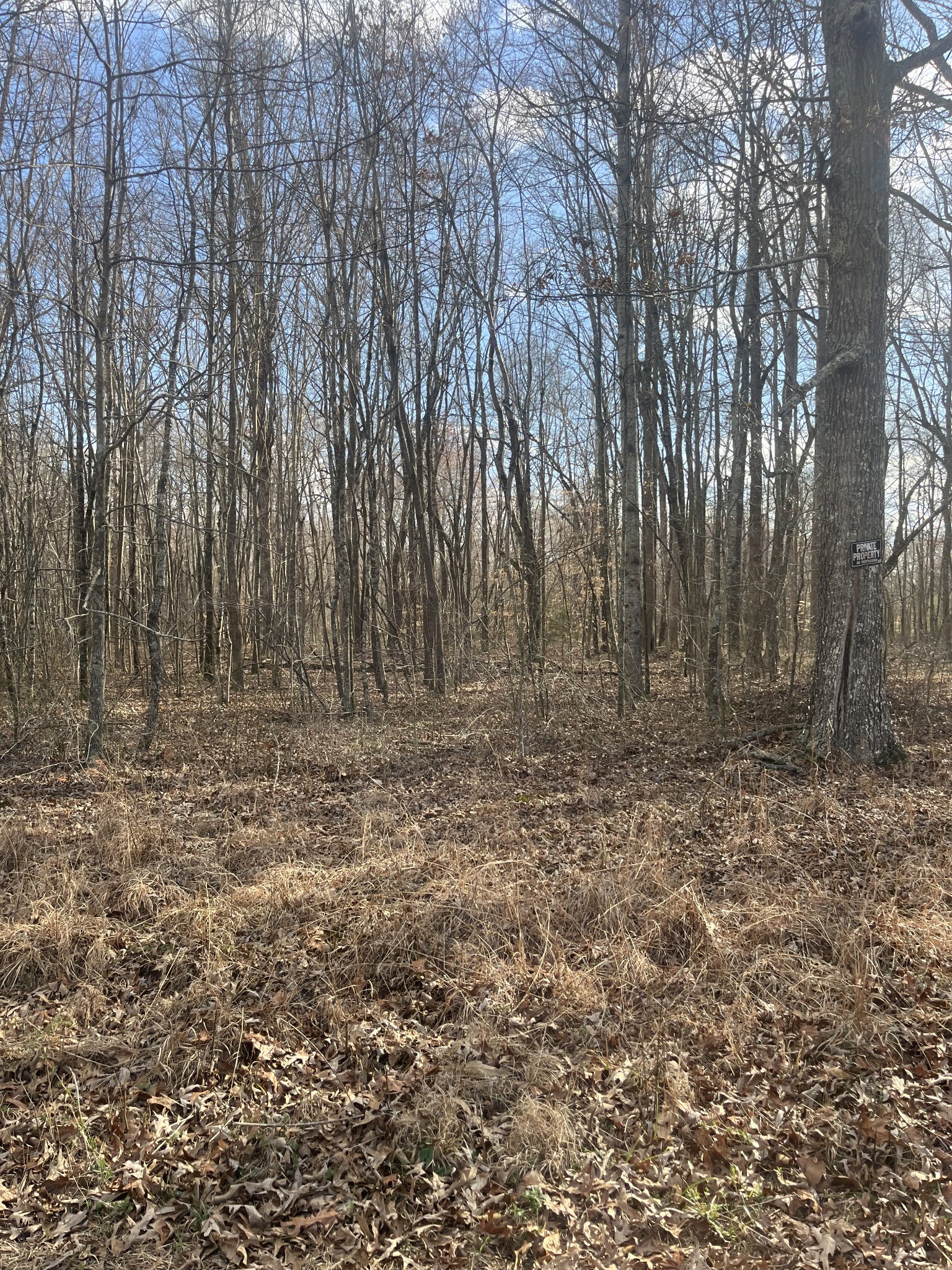 0 Boynton Valley Rd Property Photo 1