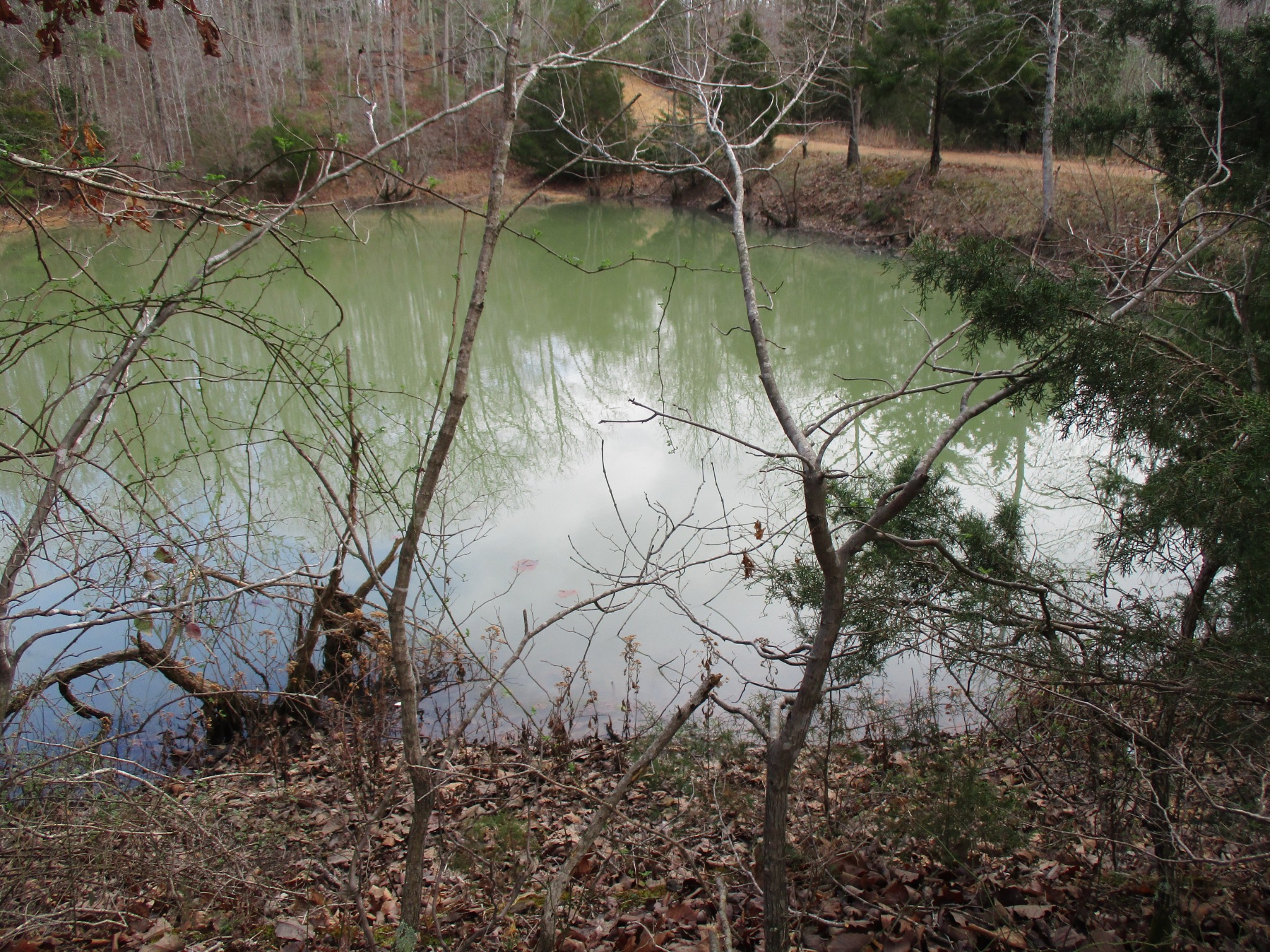 0 Split Lake Drive Property Photo 1